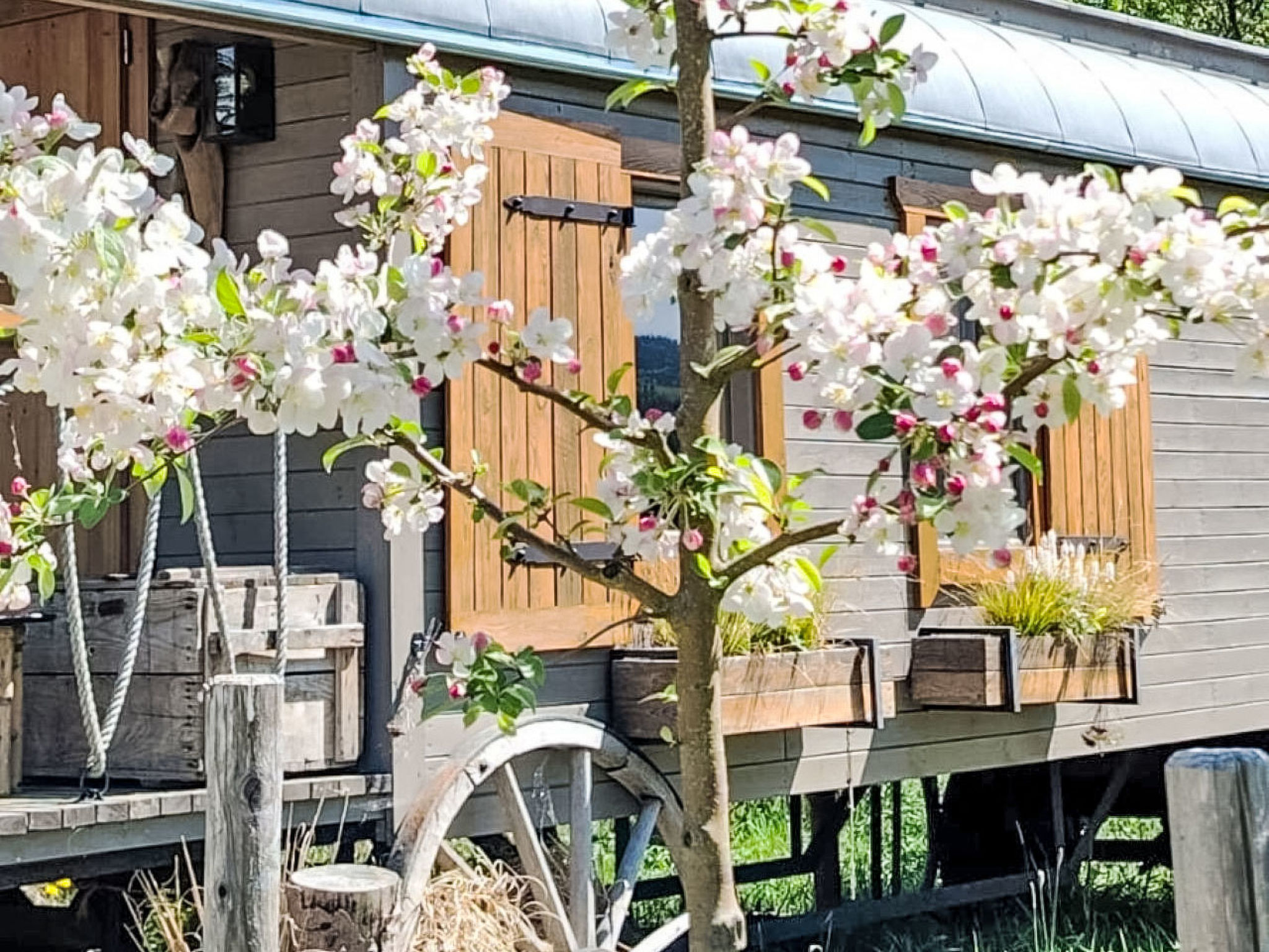 Urlaub Zirkuswagen