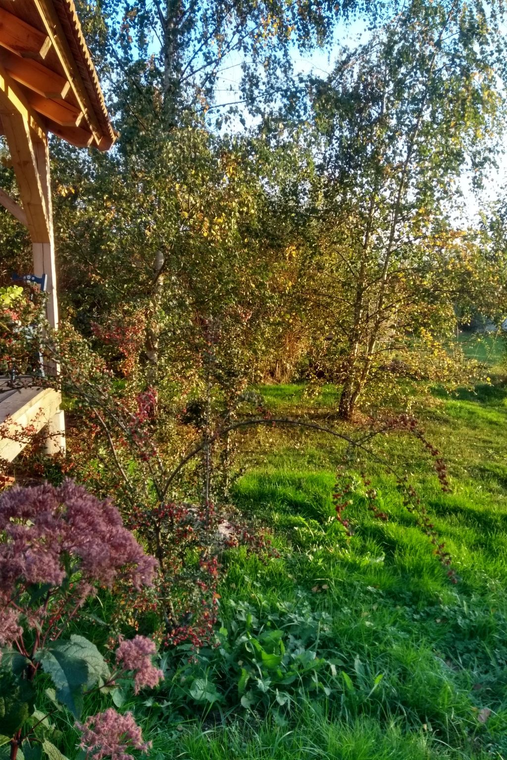 Urlaub Zirkuswagen-Binnen