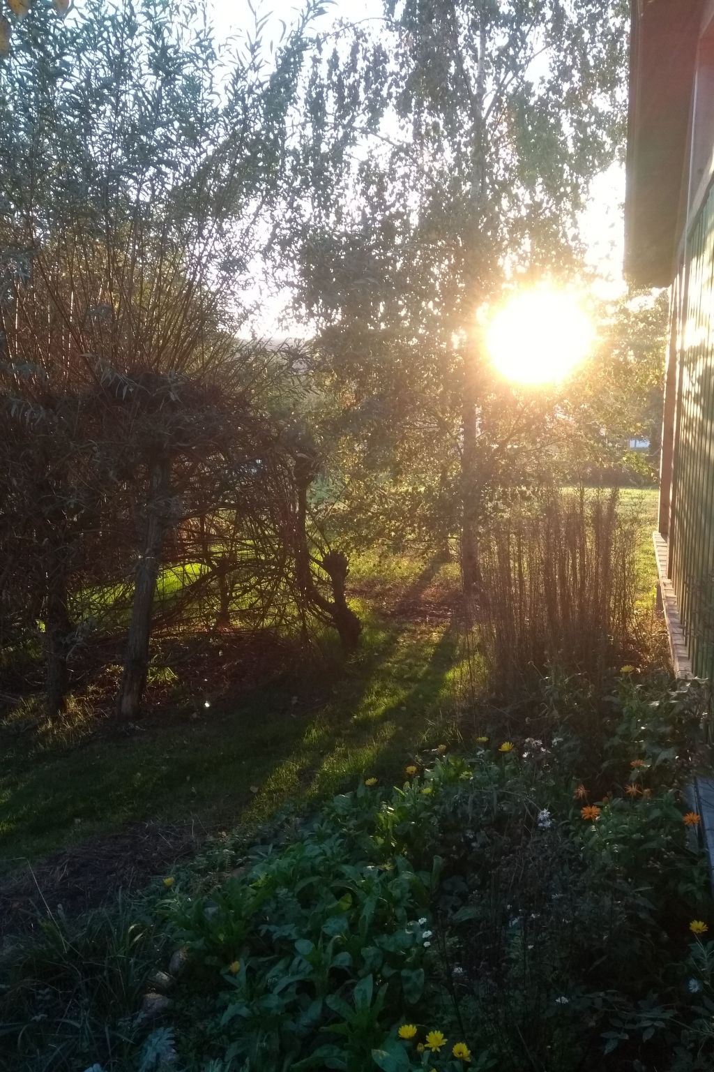 Urlaub Zirkuswagen-Binnen