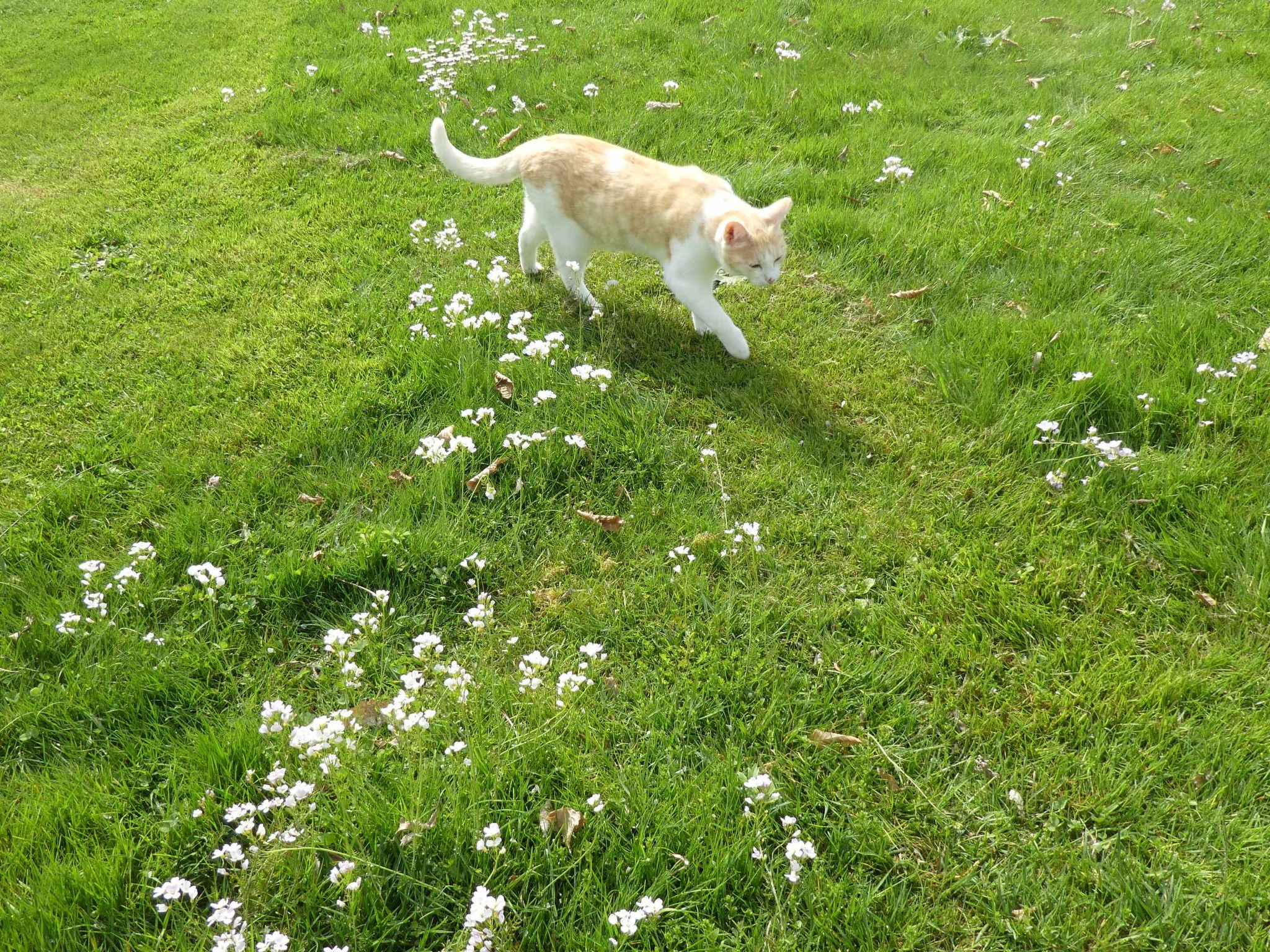Urlaub Zirkuswagen-Binnen