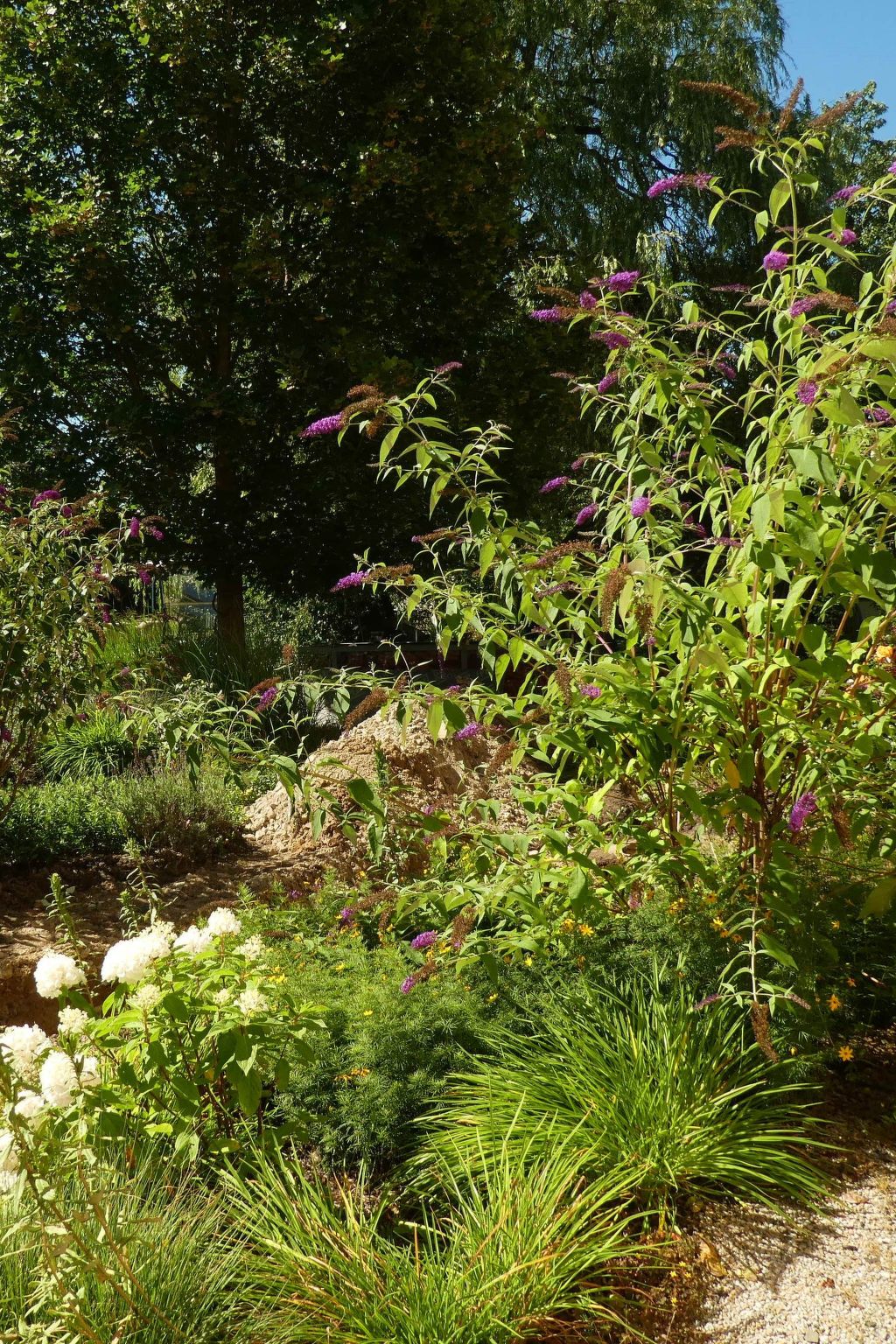 Urlaub Zirkuswagen-Binnen