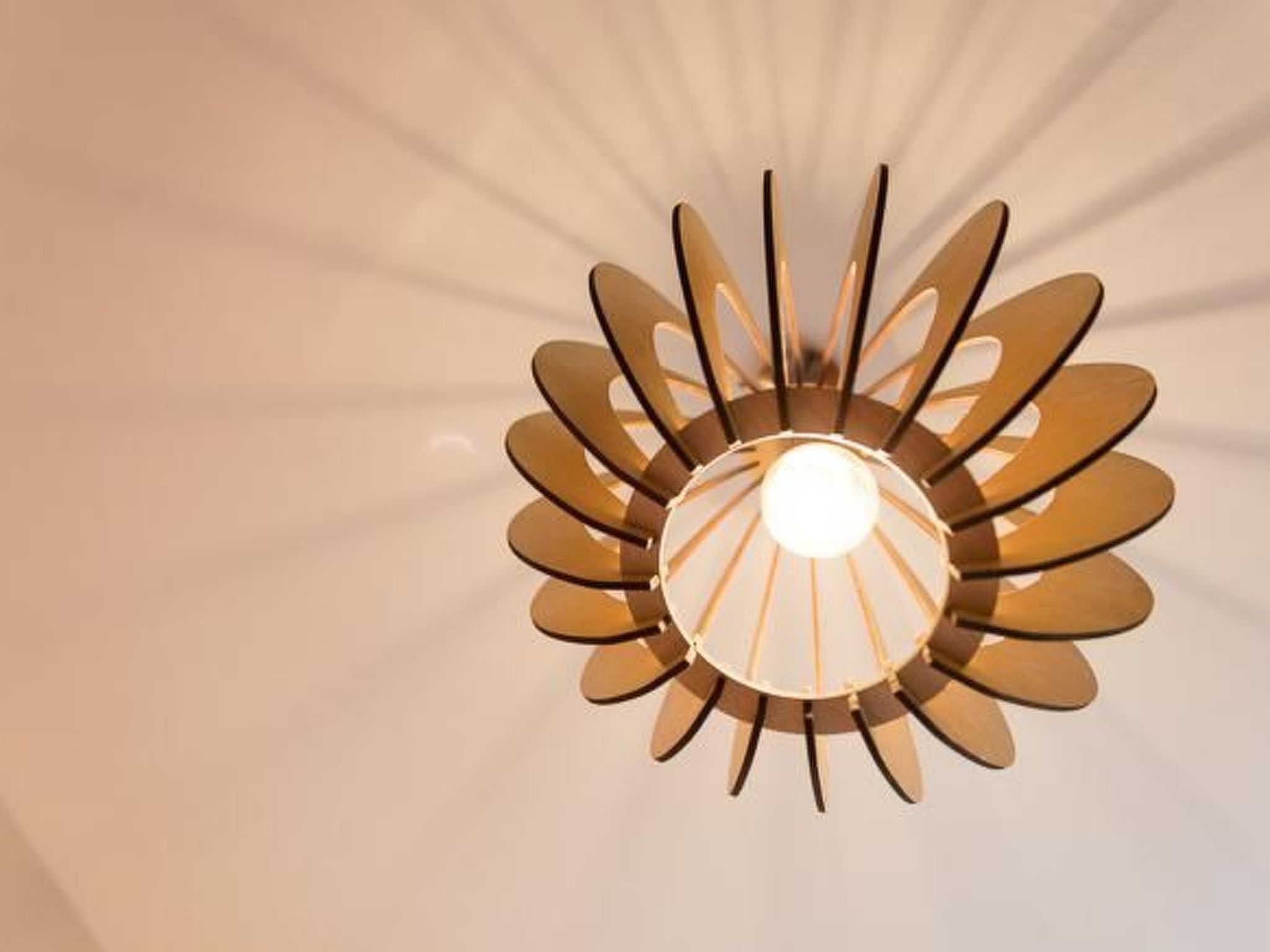 Am Rückerlhof - Moni-Dedans