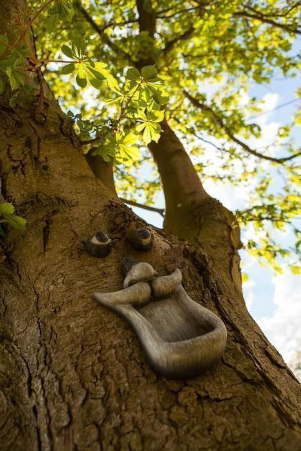 Am Rückerlhof-Katrin-Drinnen