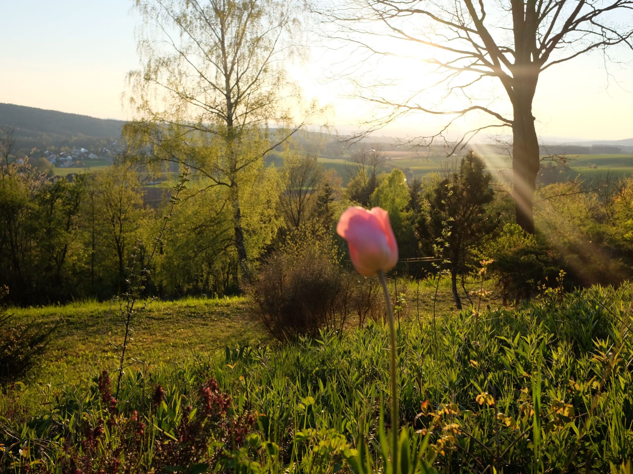 Mit einer umwerfenden Panoramaaussicht-Image-tags.info