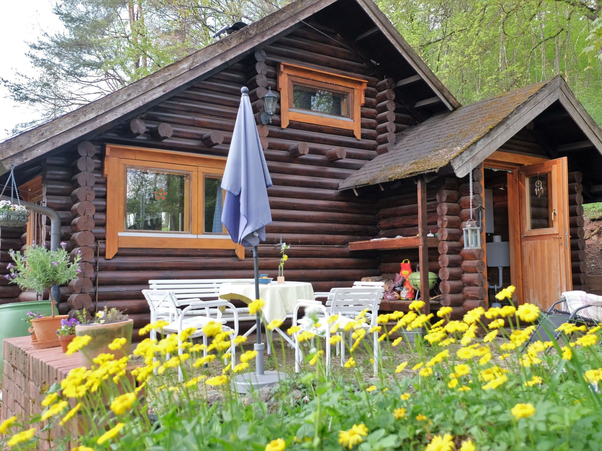 Finnisches Holzhaus-Image-tags.info