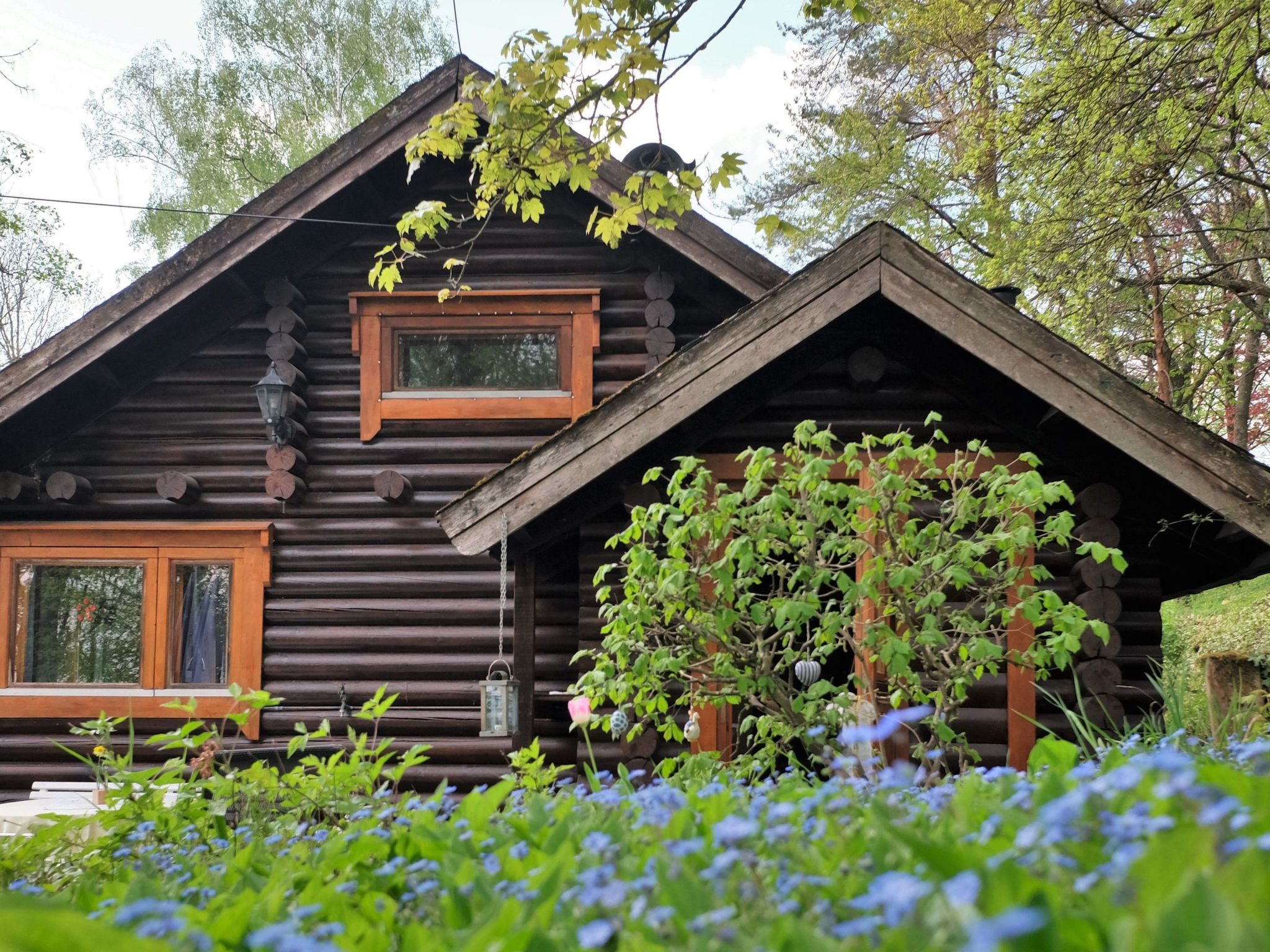 Finnisches Holzhaus-Image-tags.info