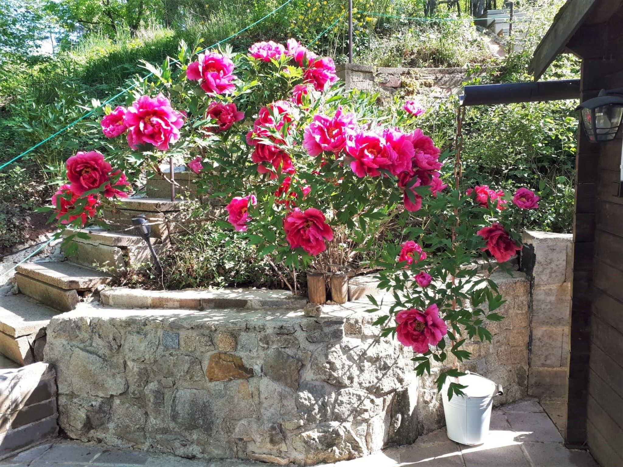 Finnisches Holzhaus-Image-tags.info