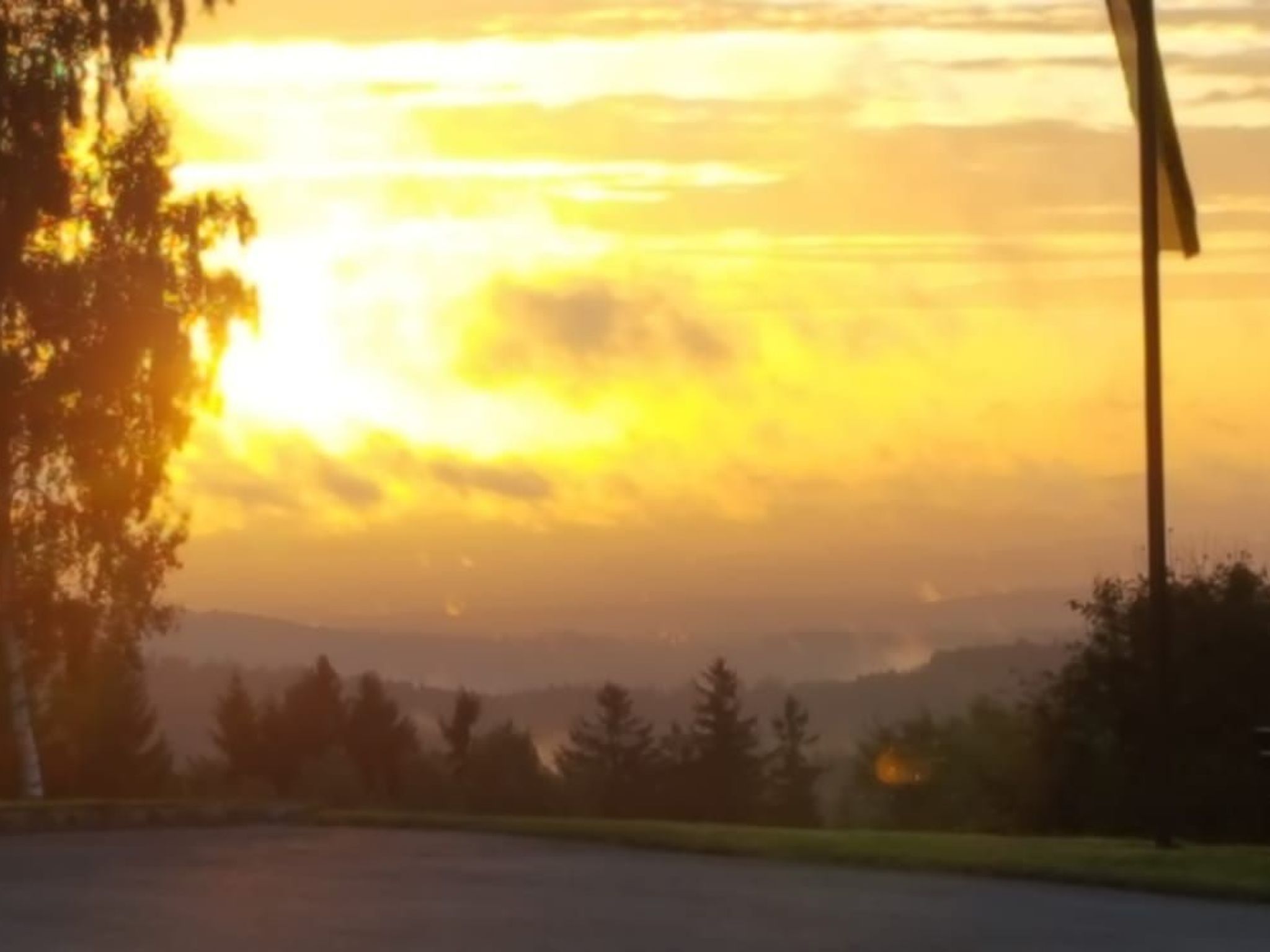 Im Naturpark Steinwald-Image-tags.info