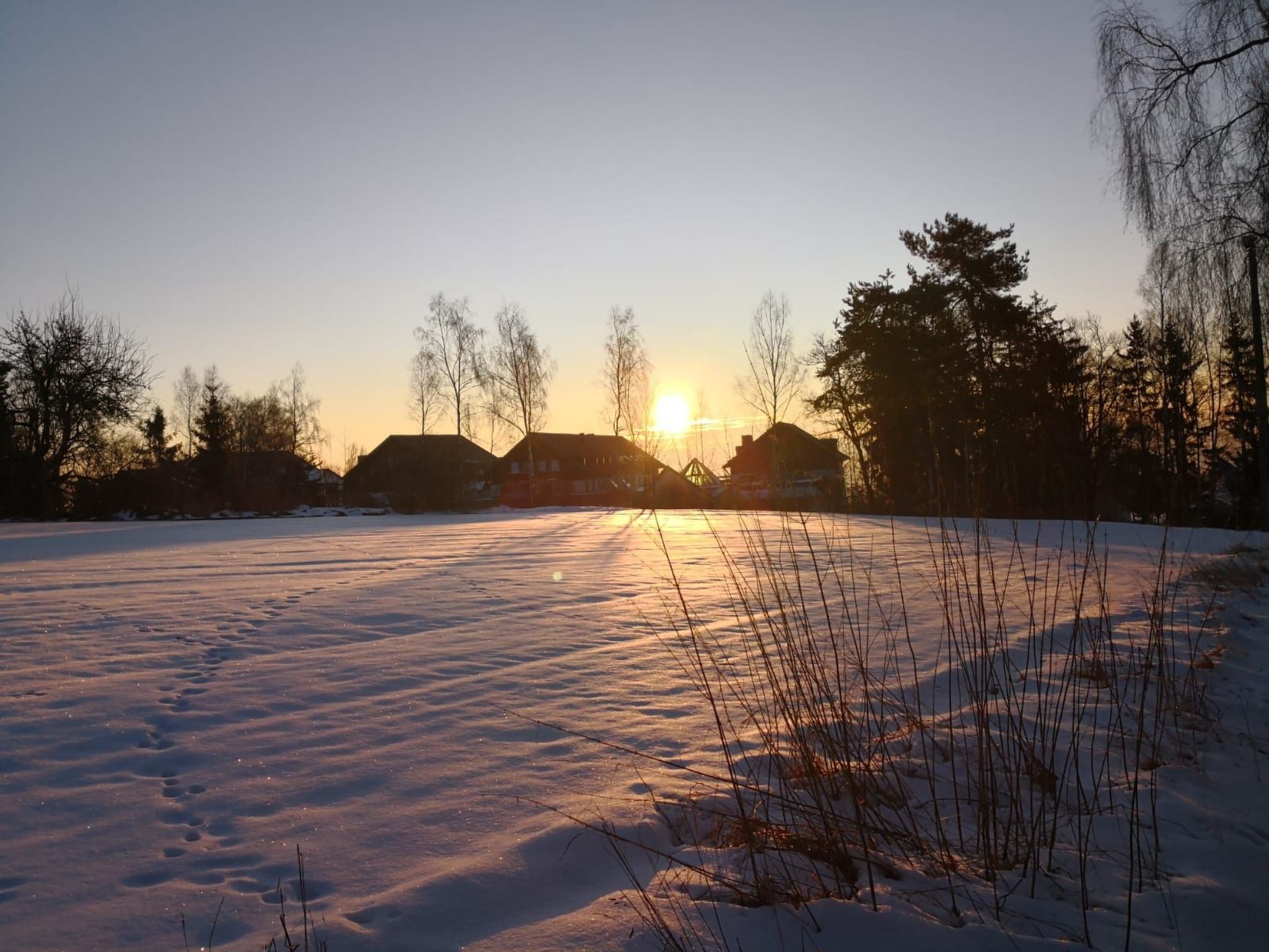Im Naturpark Steinwald-Image-tags.info