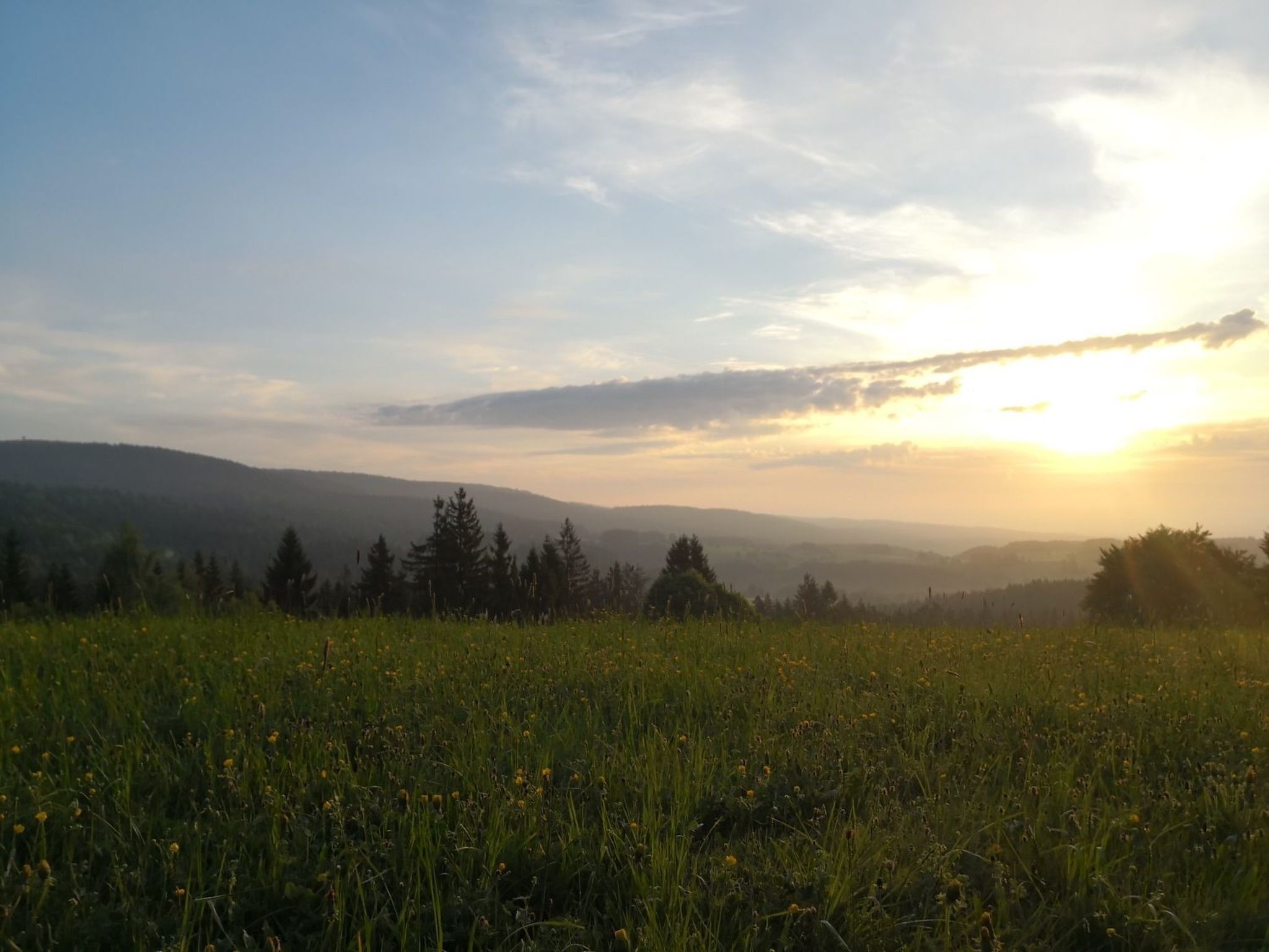Im Naturpark Steinwald-Image-tags.info