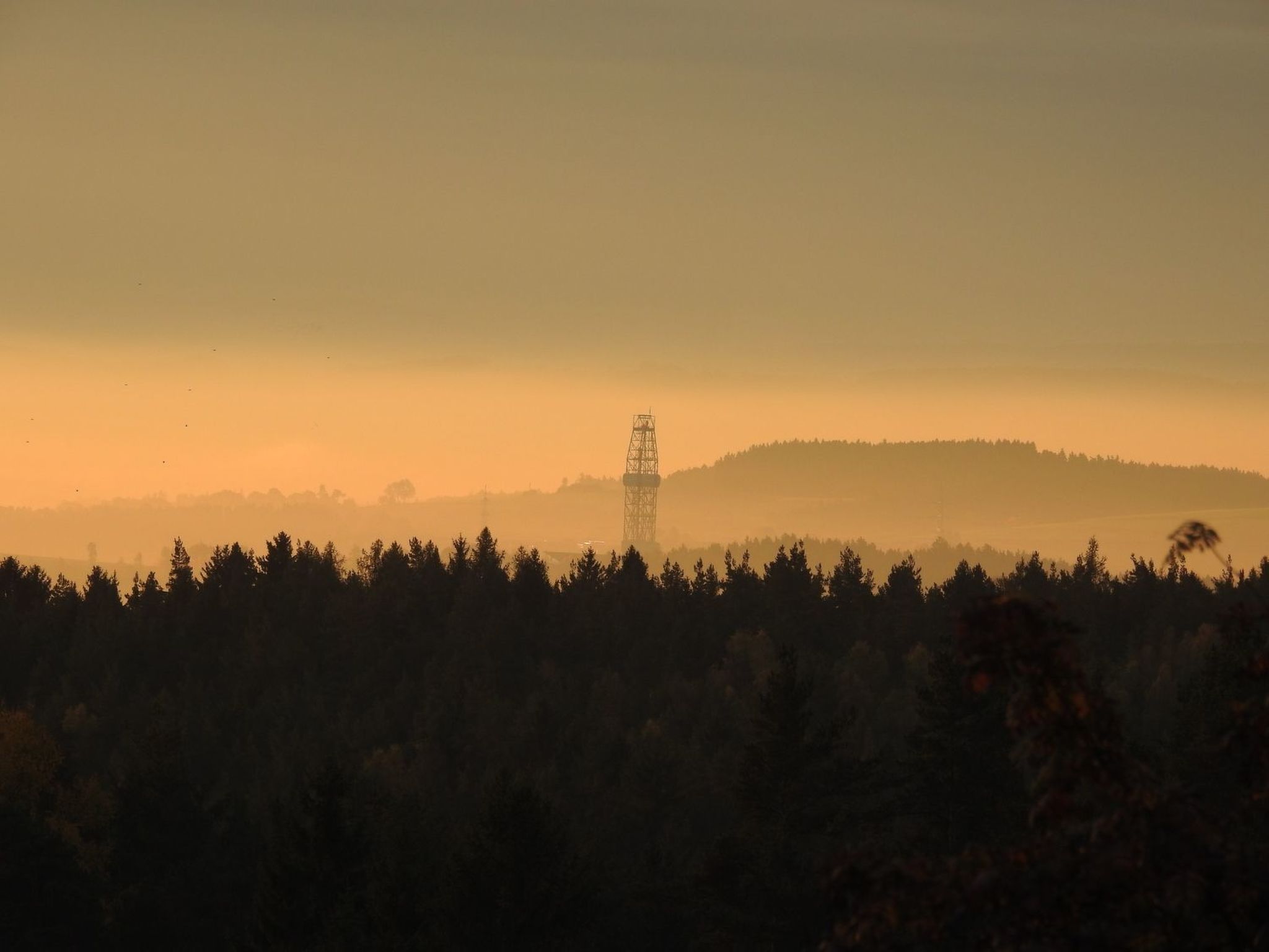 Im Naturpark Steinwald-Image-tags.info