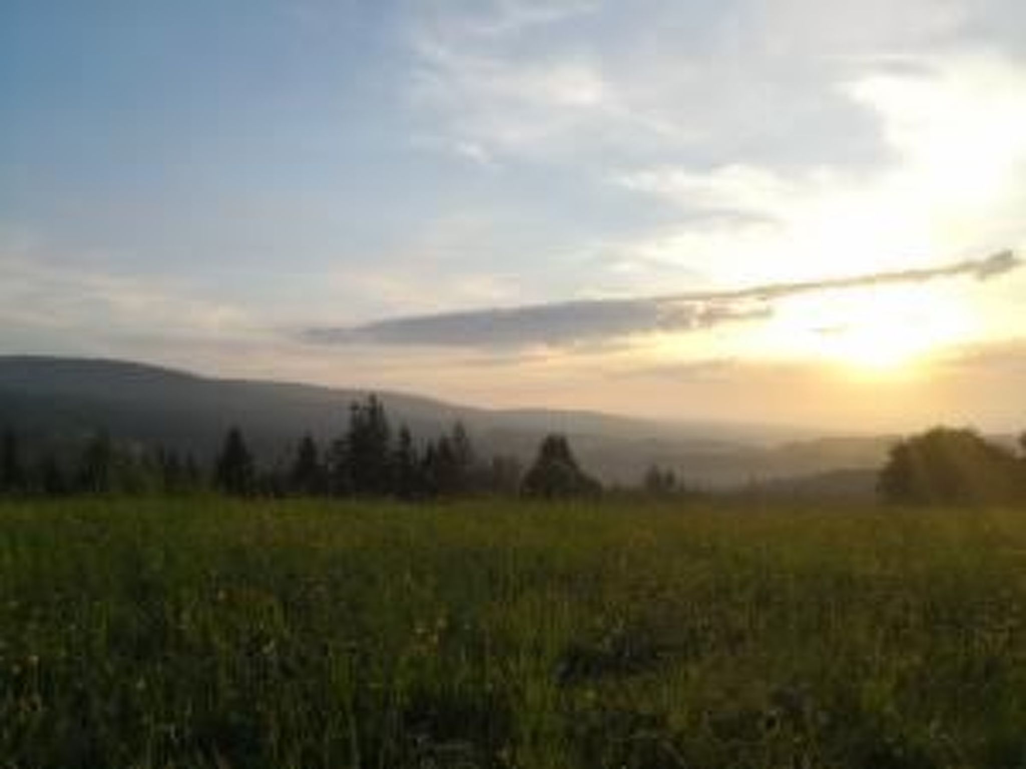 Im Naturpark Steinwald-Image-tags.info