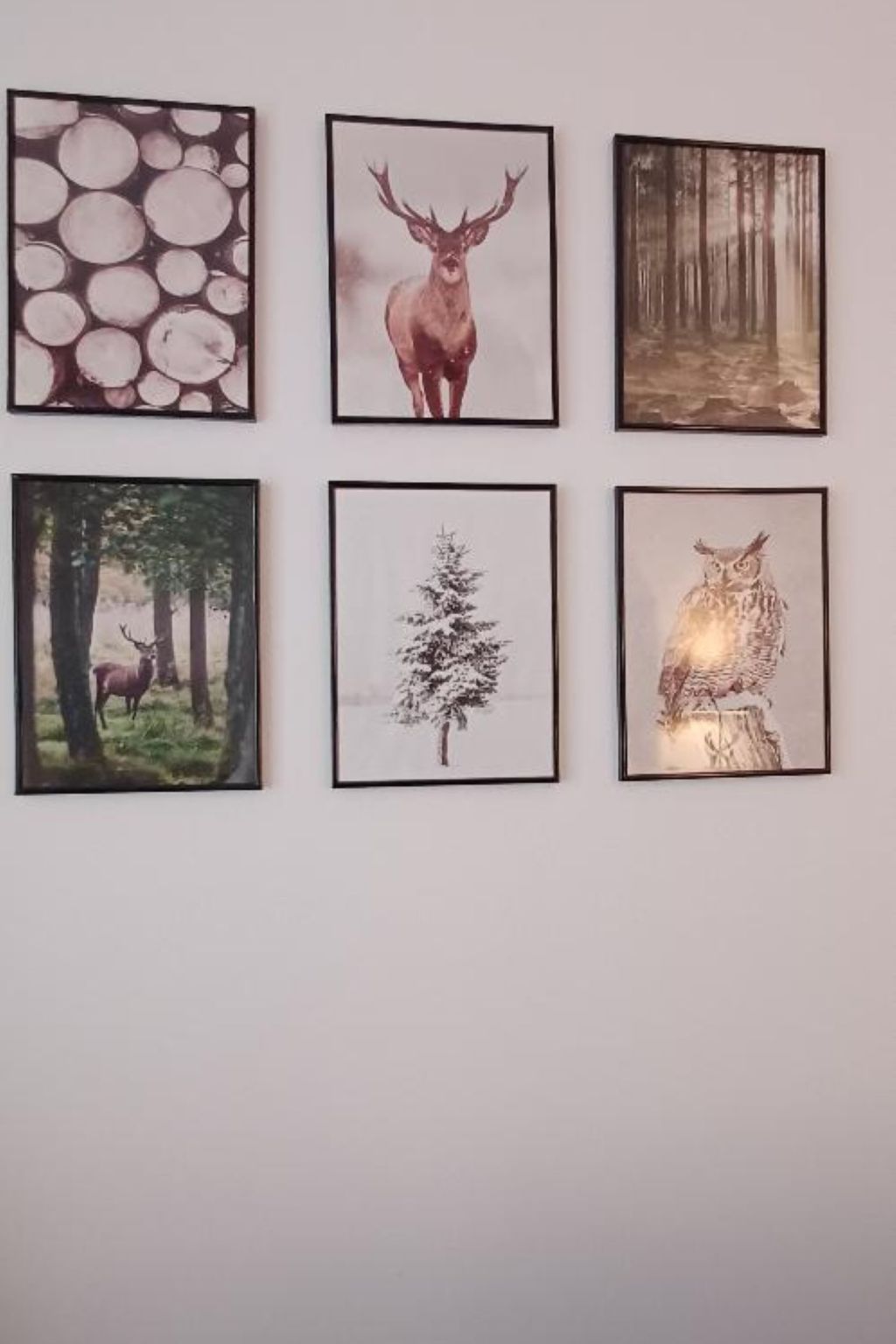 Fichtelzauber mit Sauna-Binnen