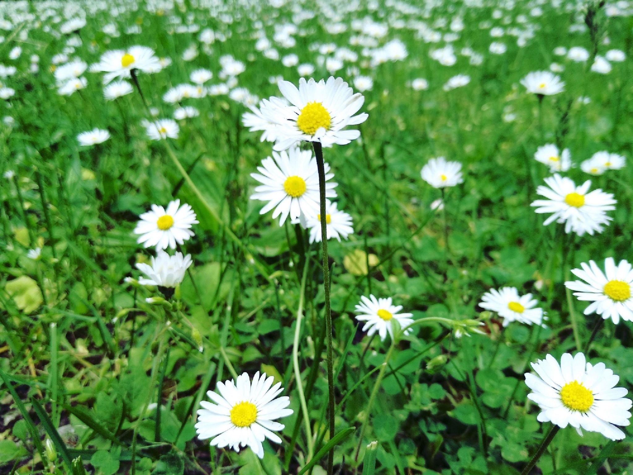 Fichtelzauber mit Sauna-Binnen