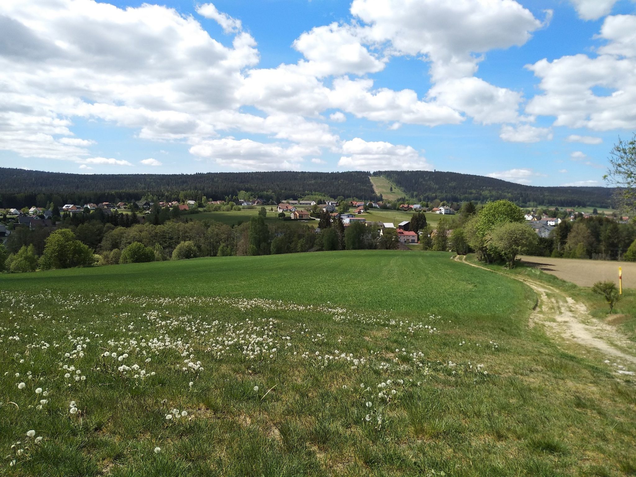 Fichtelzauber mit Sauna-Binnen