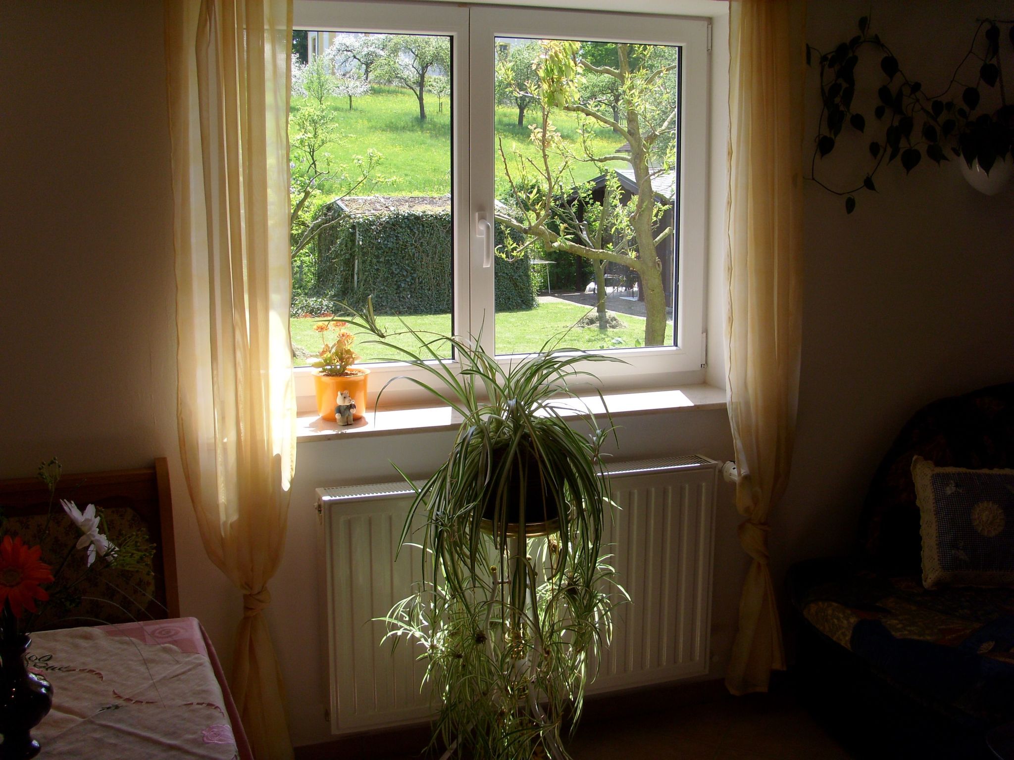 Mit Blick zur Wallfahrtskirche-Binnen