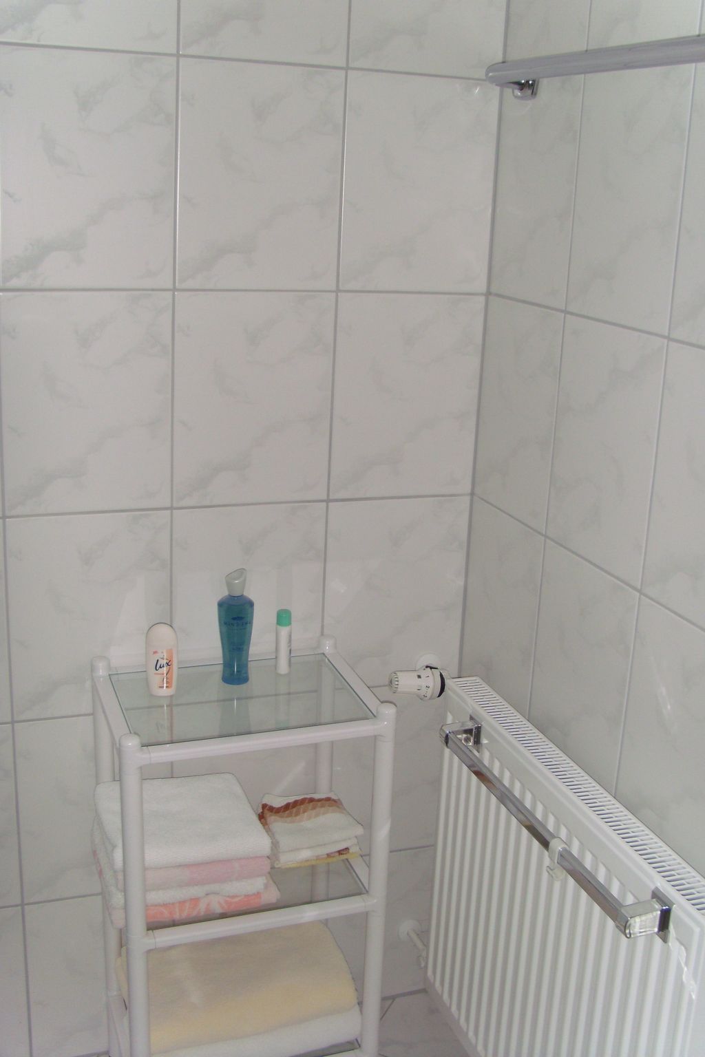 Mit Blick zur Wallfahrtskirche-Binnen