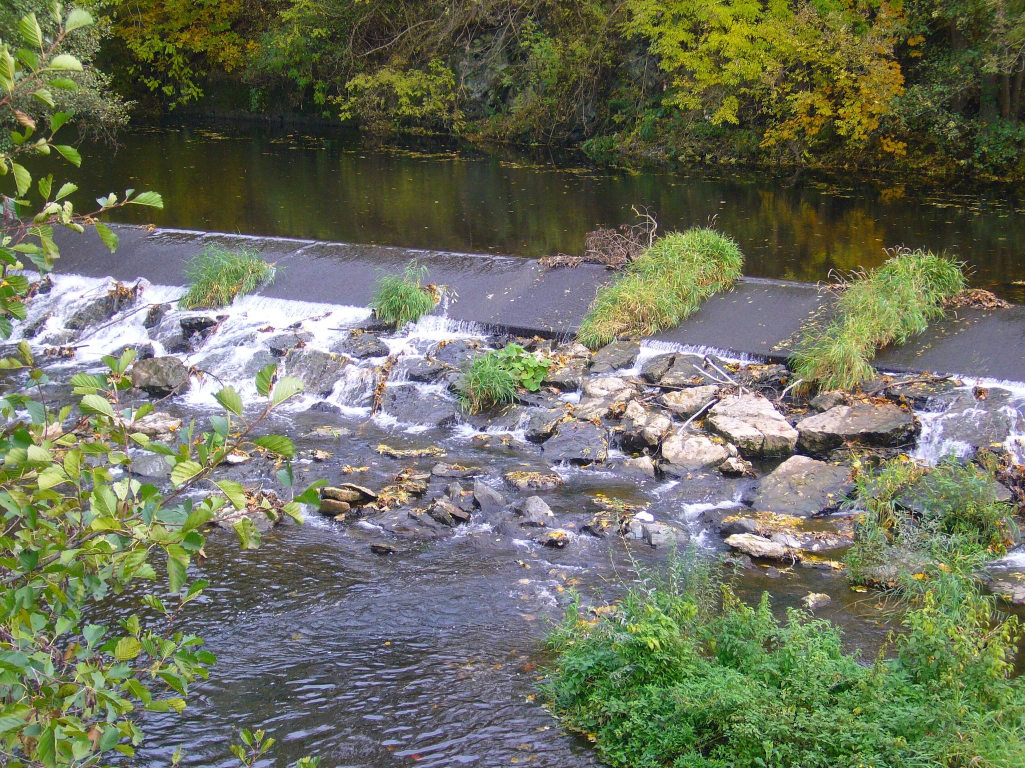 Freistehendes Ferienhaus mit Südbalkon-Image-tags.info