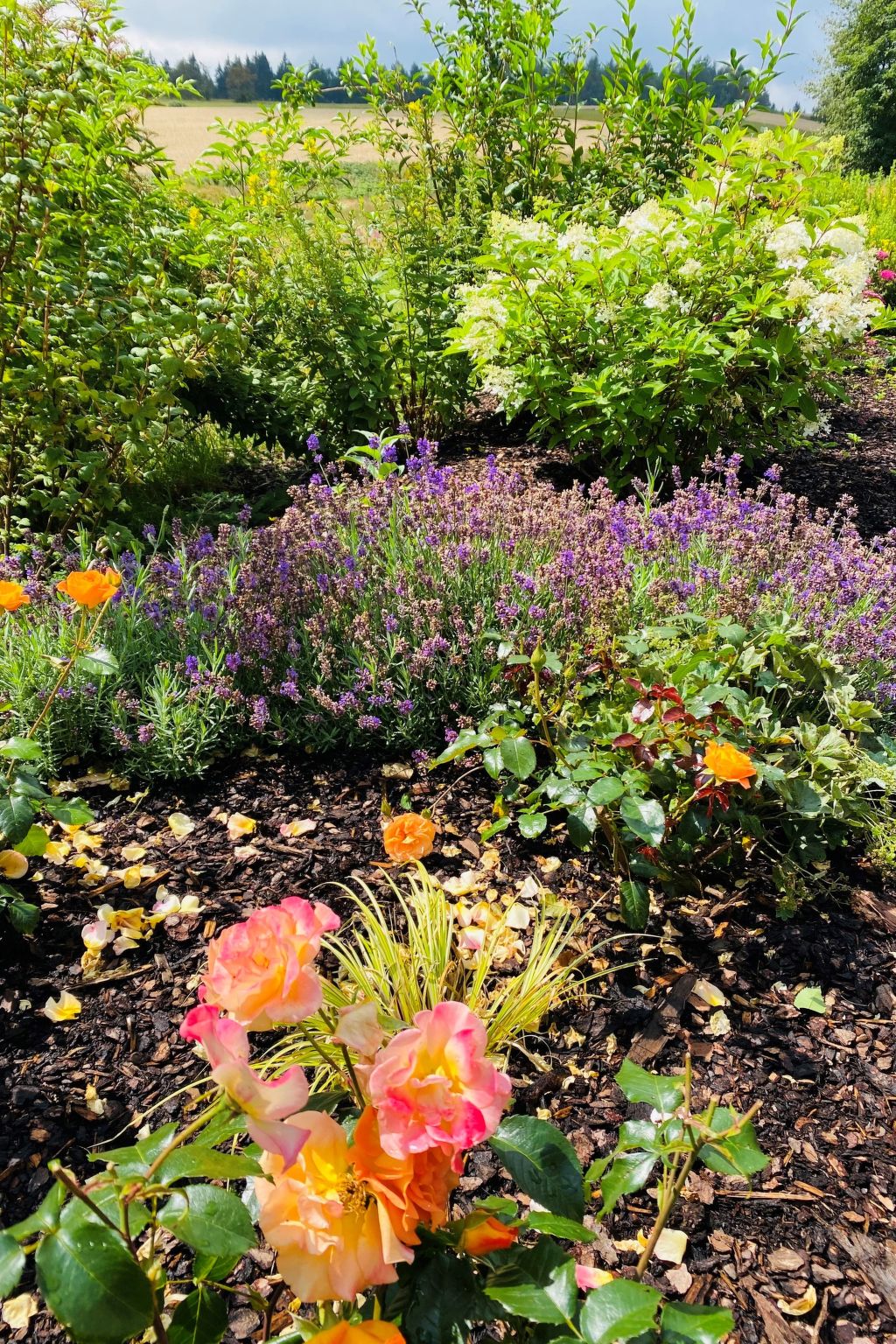 Frankenwald Lodge-Outside