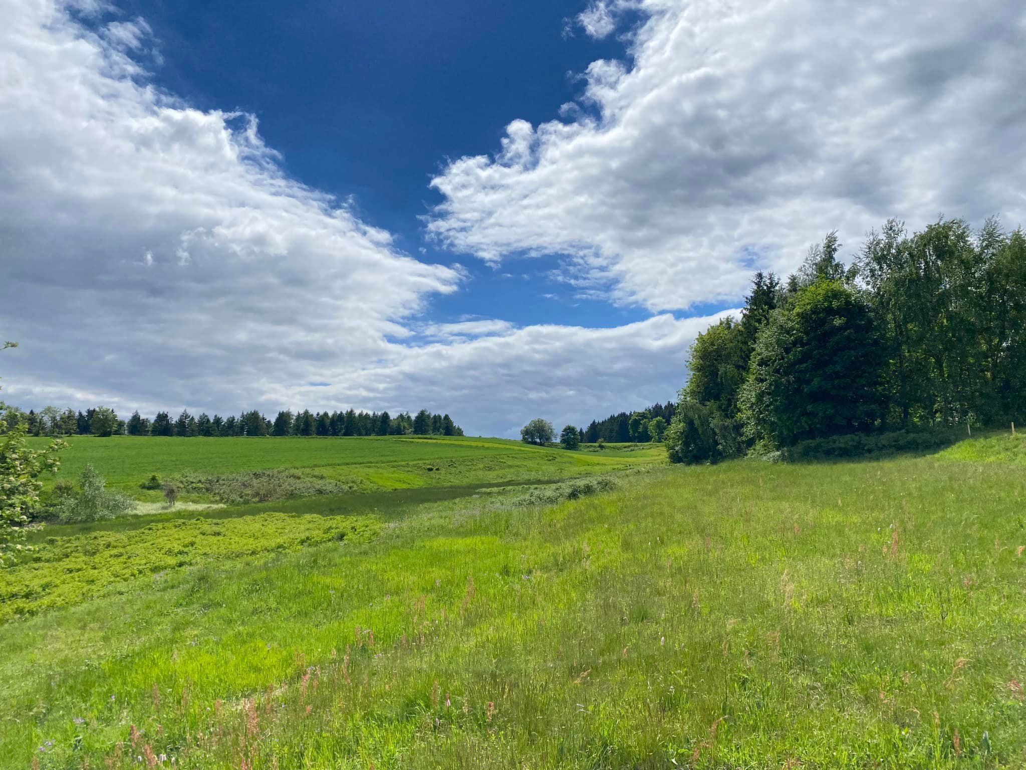 Frankenwald Lodge-Outside