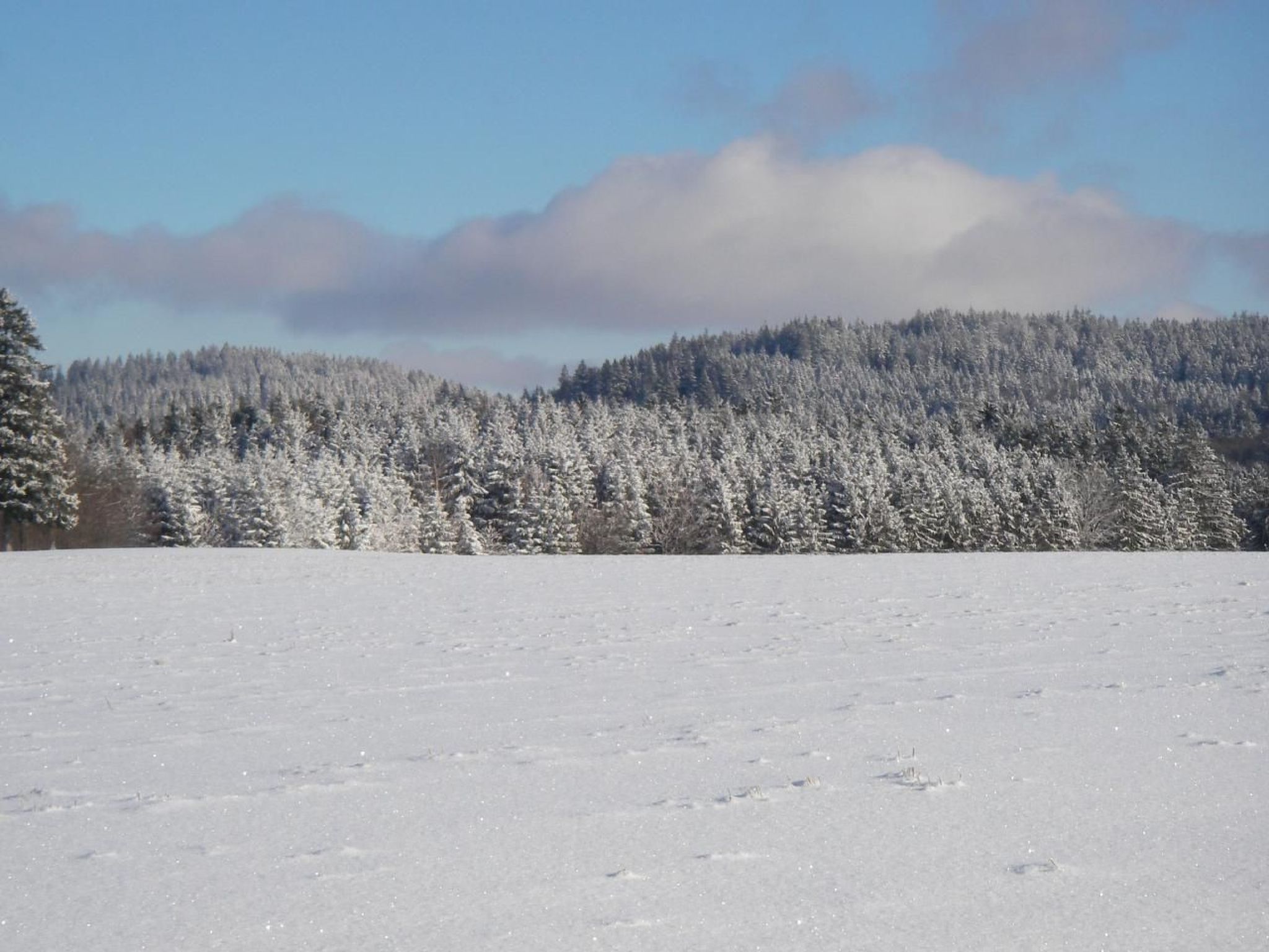 Chalet "Lena"-Drinnen