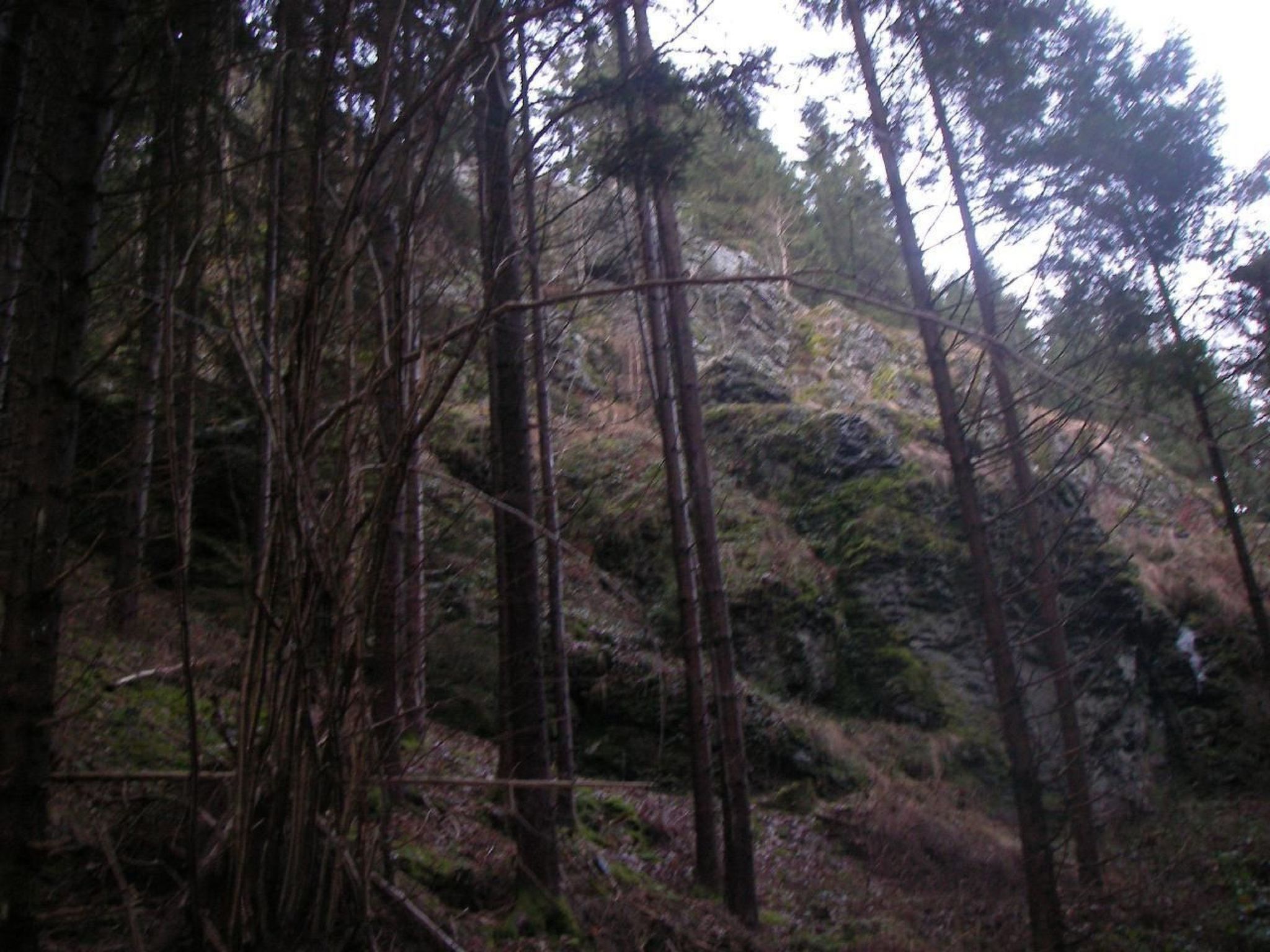 Chalet "Lena"-Drinnen