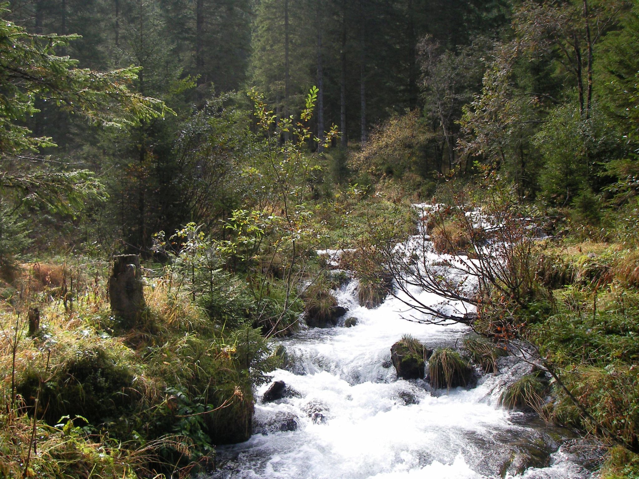 Chalet "Lena"-Drinnen