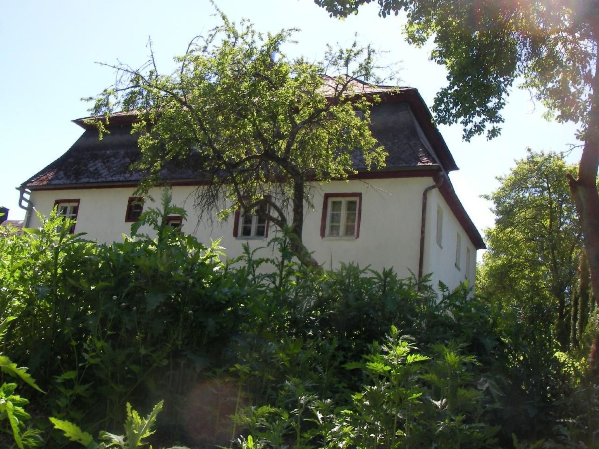 Schloß" Wildenstein"-Drinnen