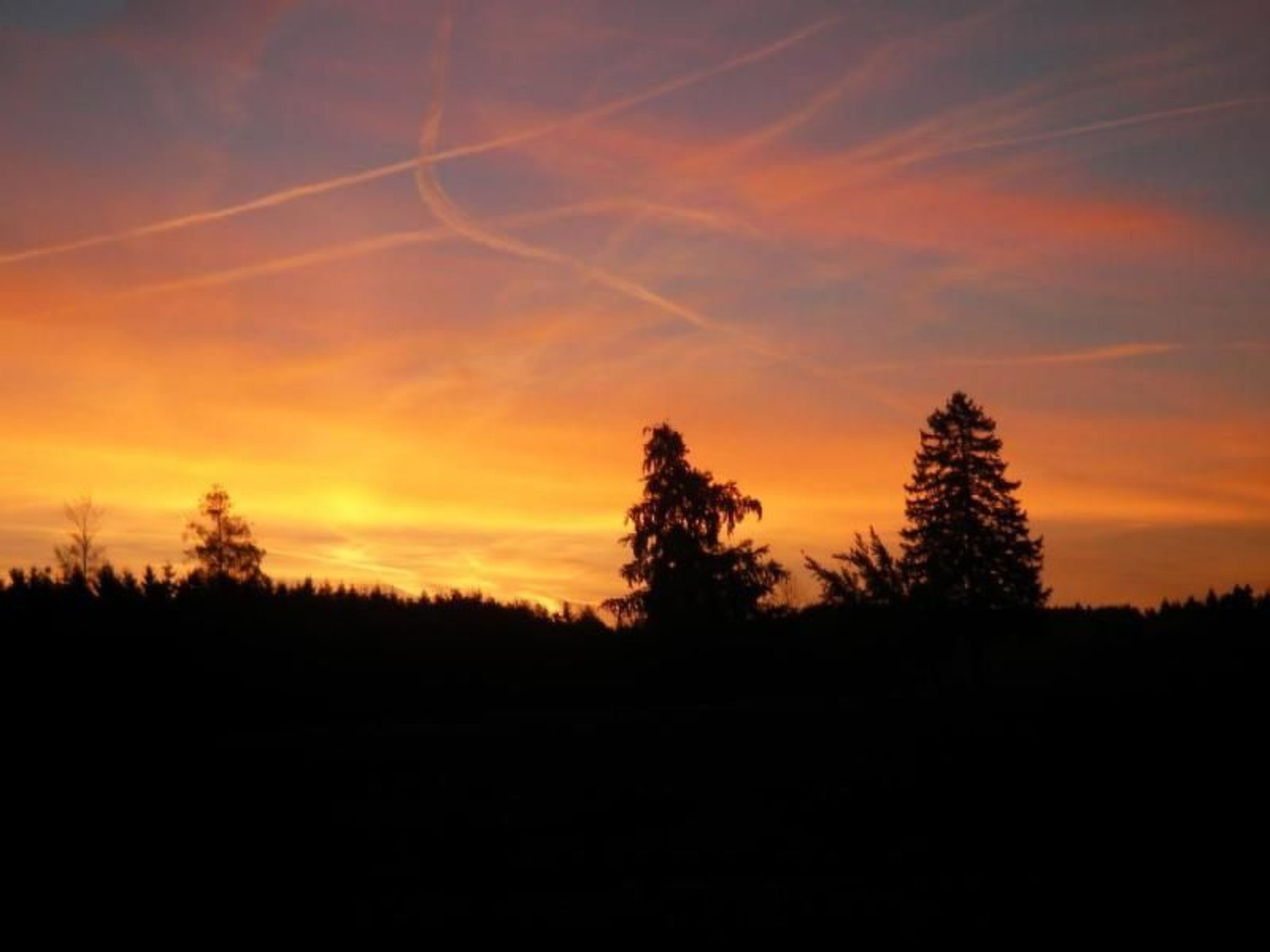 Schloß" Wildenstein"-Drinnen