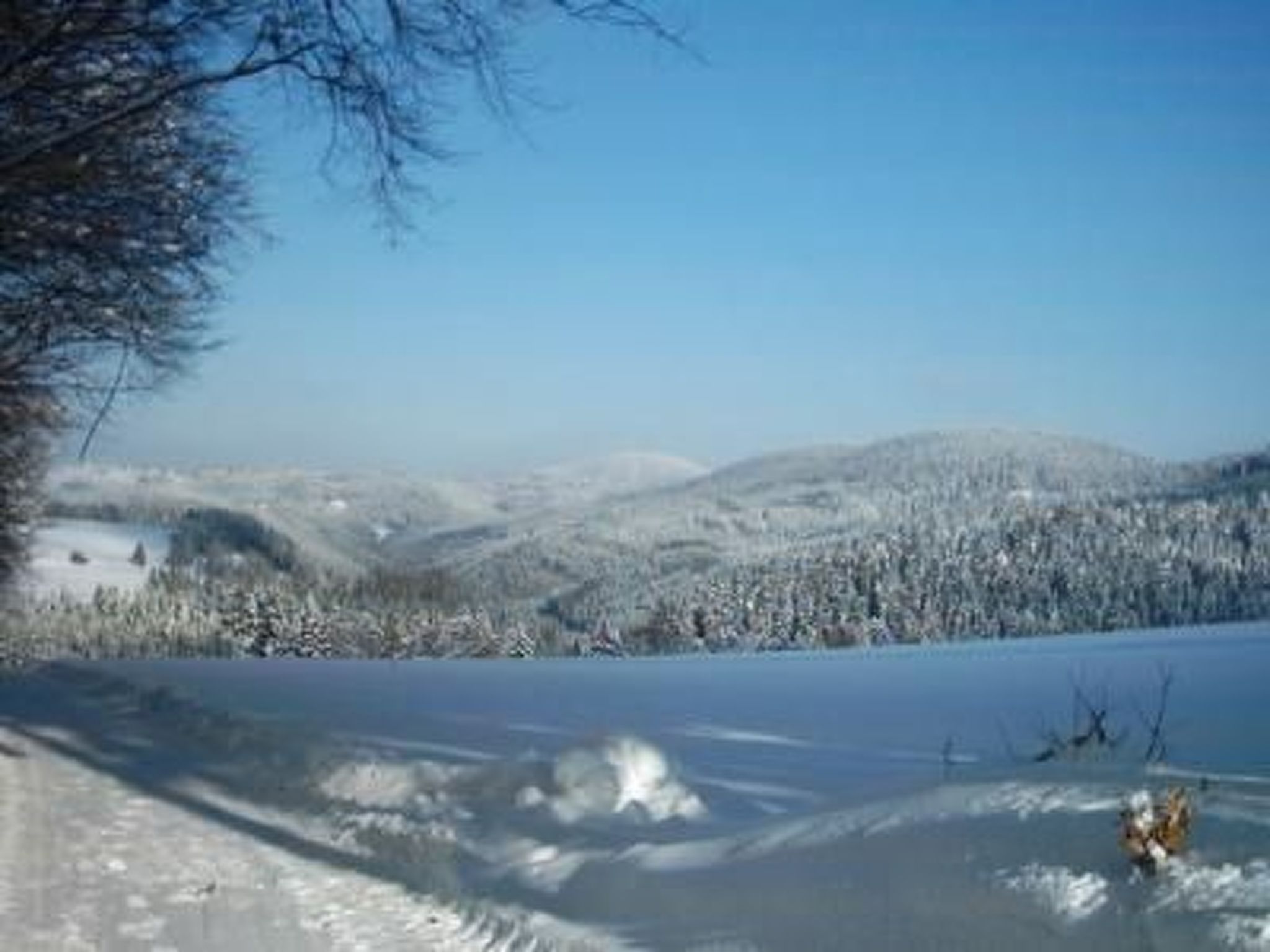 Appartement in Elbersreuth mit Garten-Drinnen