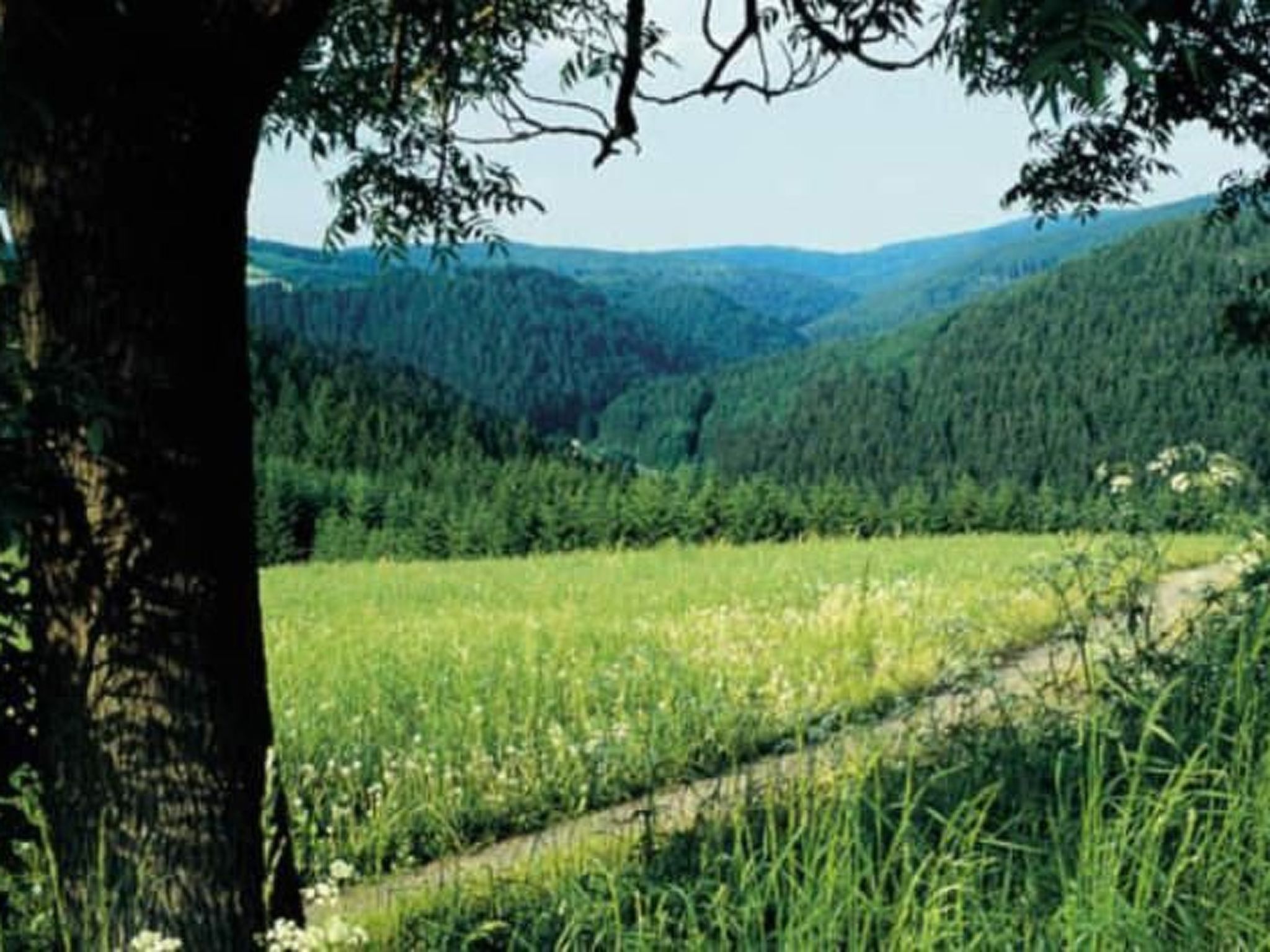 Appartement in Elbersreuth mit Garten-Drinnen