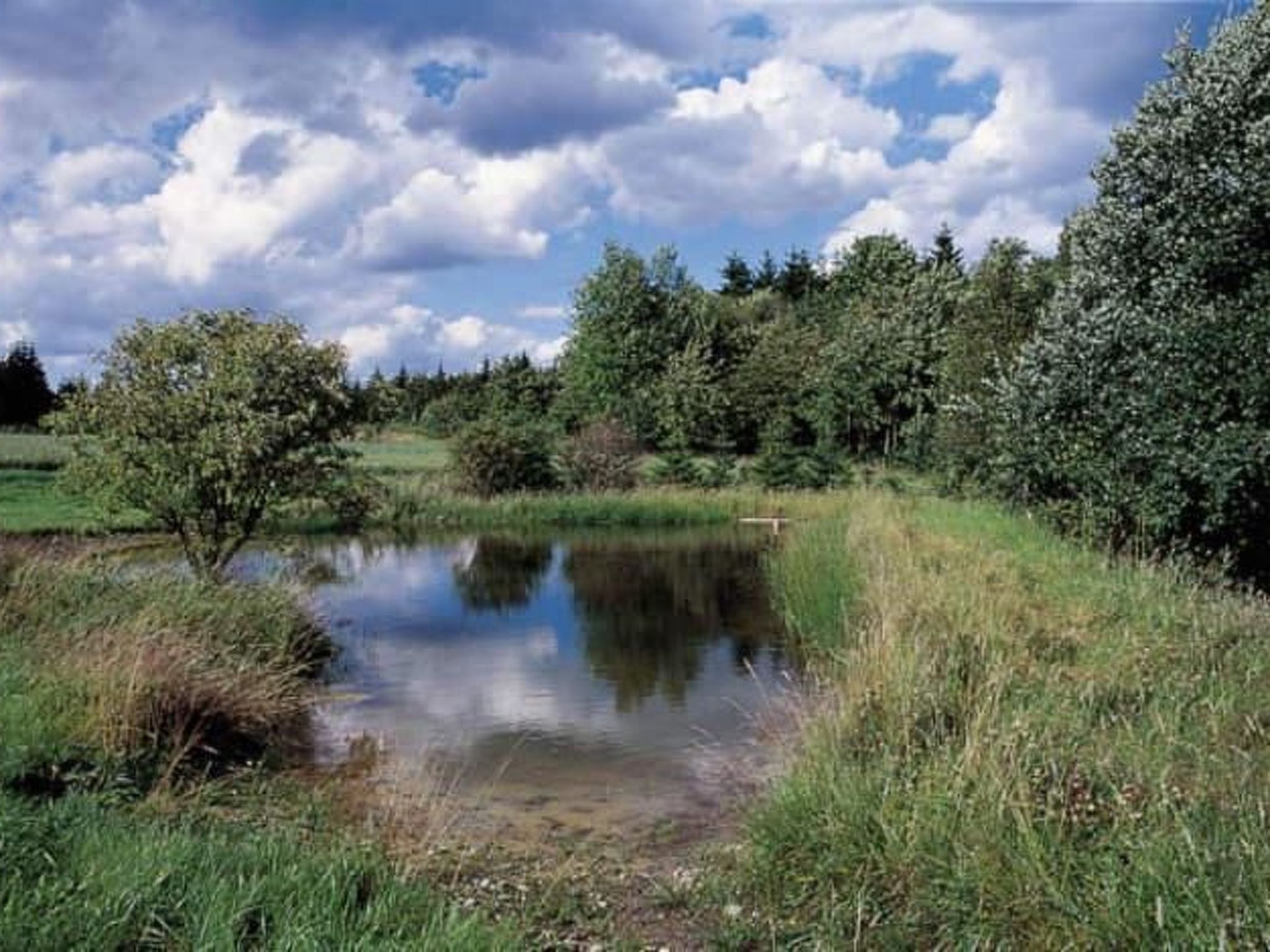 Appartement in Elbersreuth mit Garten-Drinnen