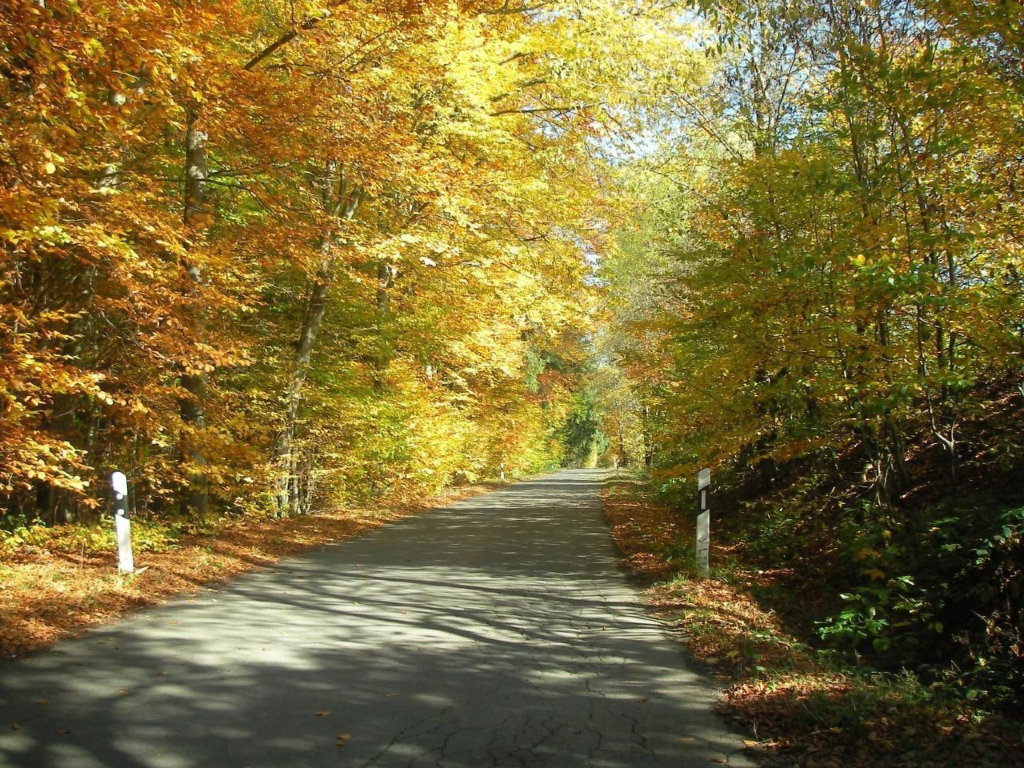 Appartement in Elbersreuth mit Garten-Drinnen