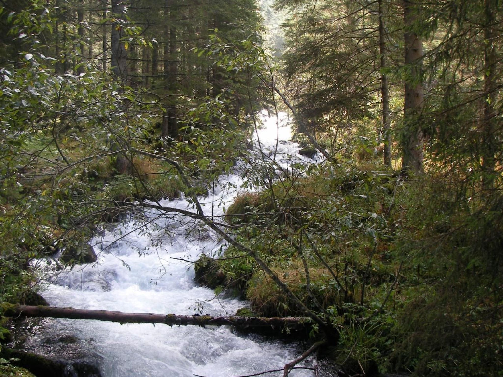 Appartement in Elbersreuth mit Garten-Drinnen