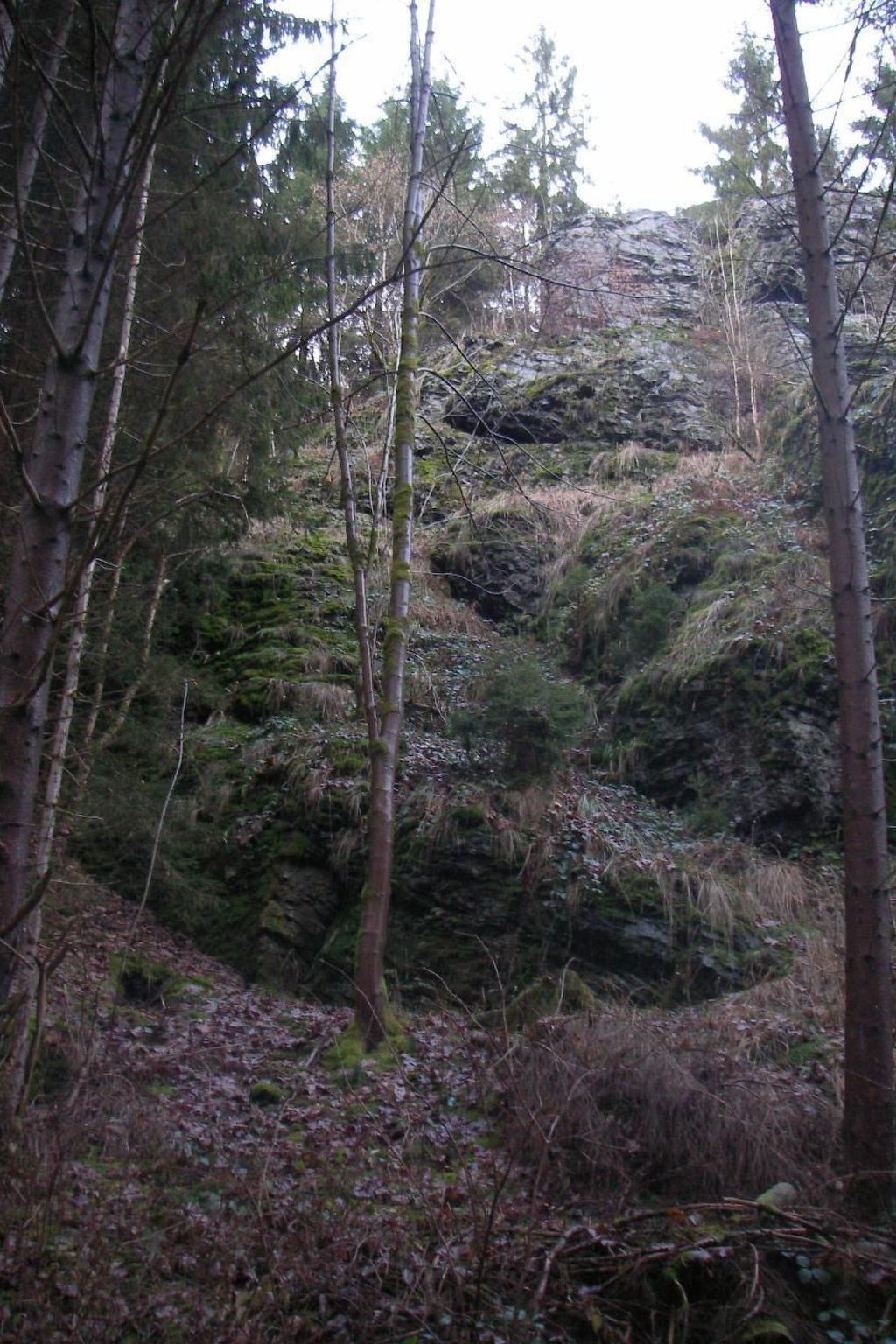 Appartement in Elbersreuth mit Garten-Drinnen