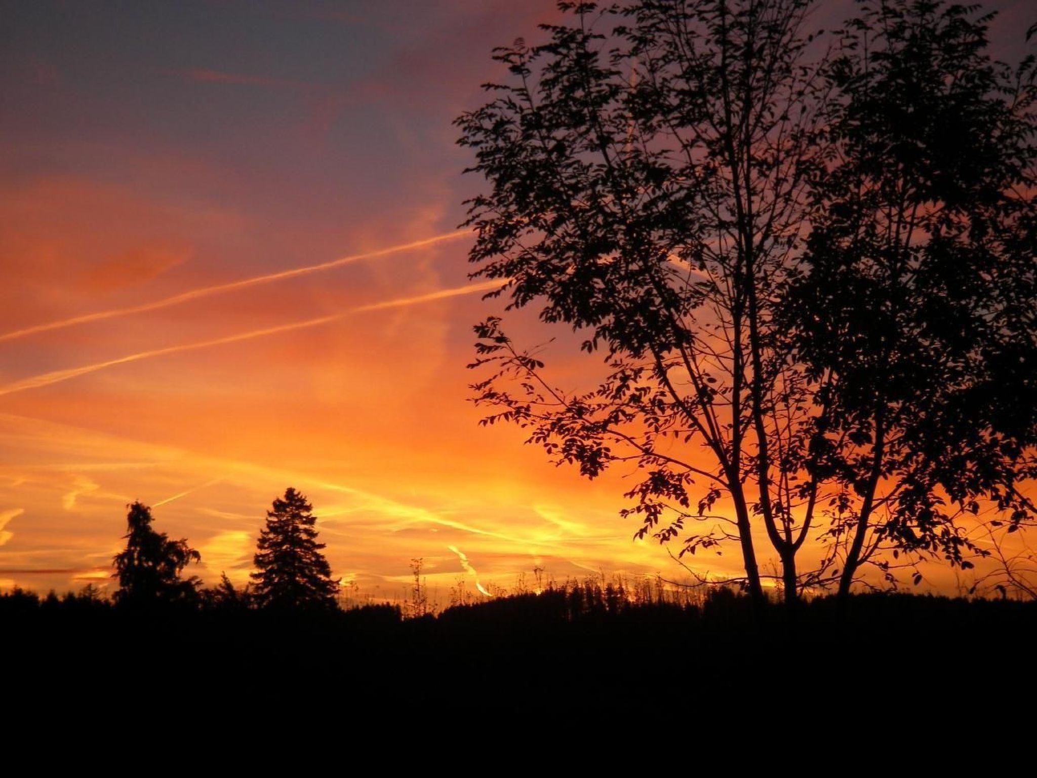 Appartement in Elbersreuth mit Garten-Drinnen