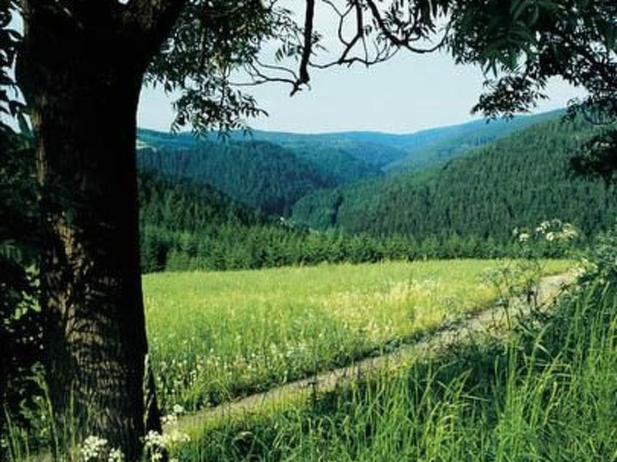 Haus "Hermann"-Drinnen