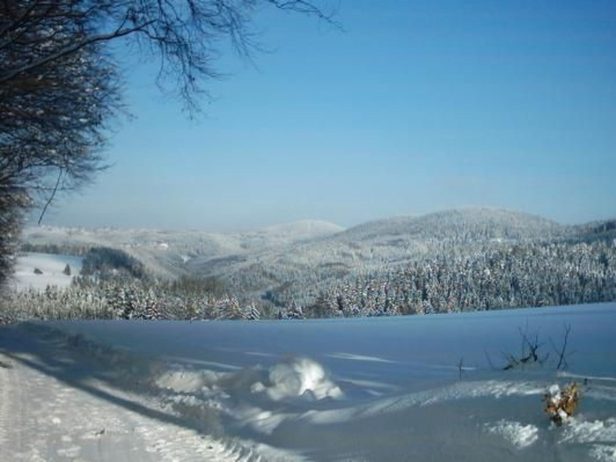 Haus "Hermann"-Drinnen
