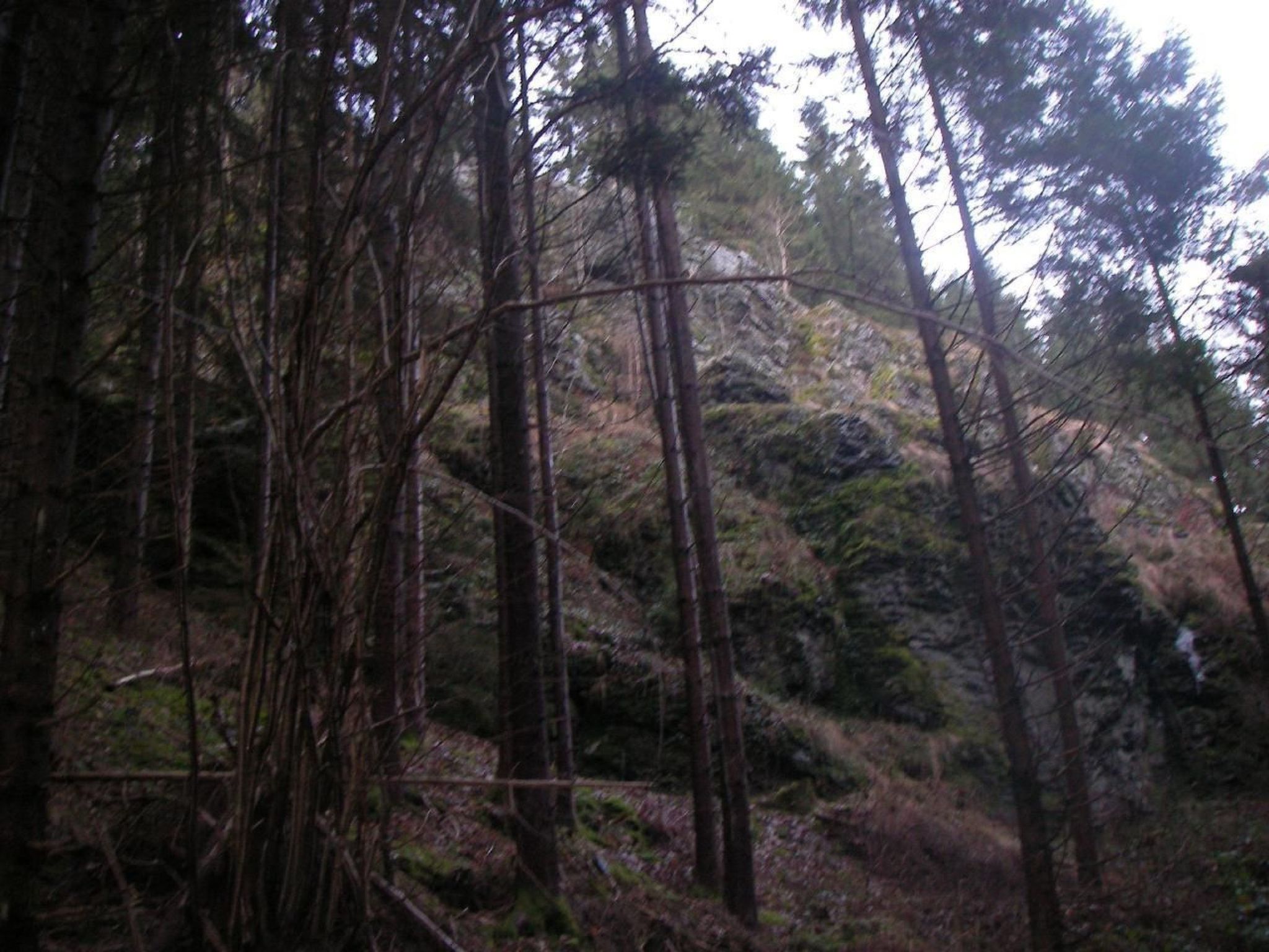 Haus "Hermann"-Drinnen