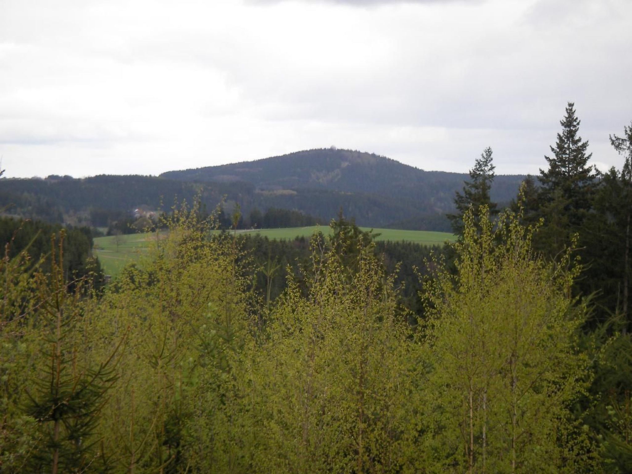 Haus "Hermann"-Drinnen
