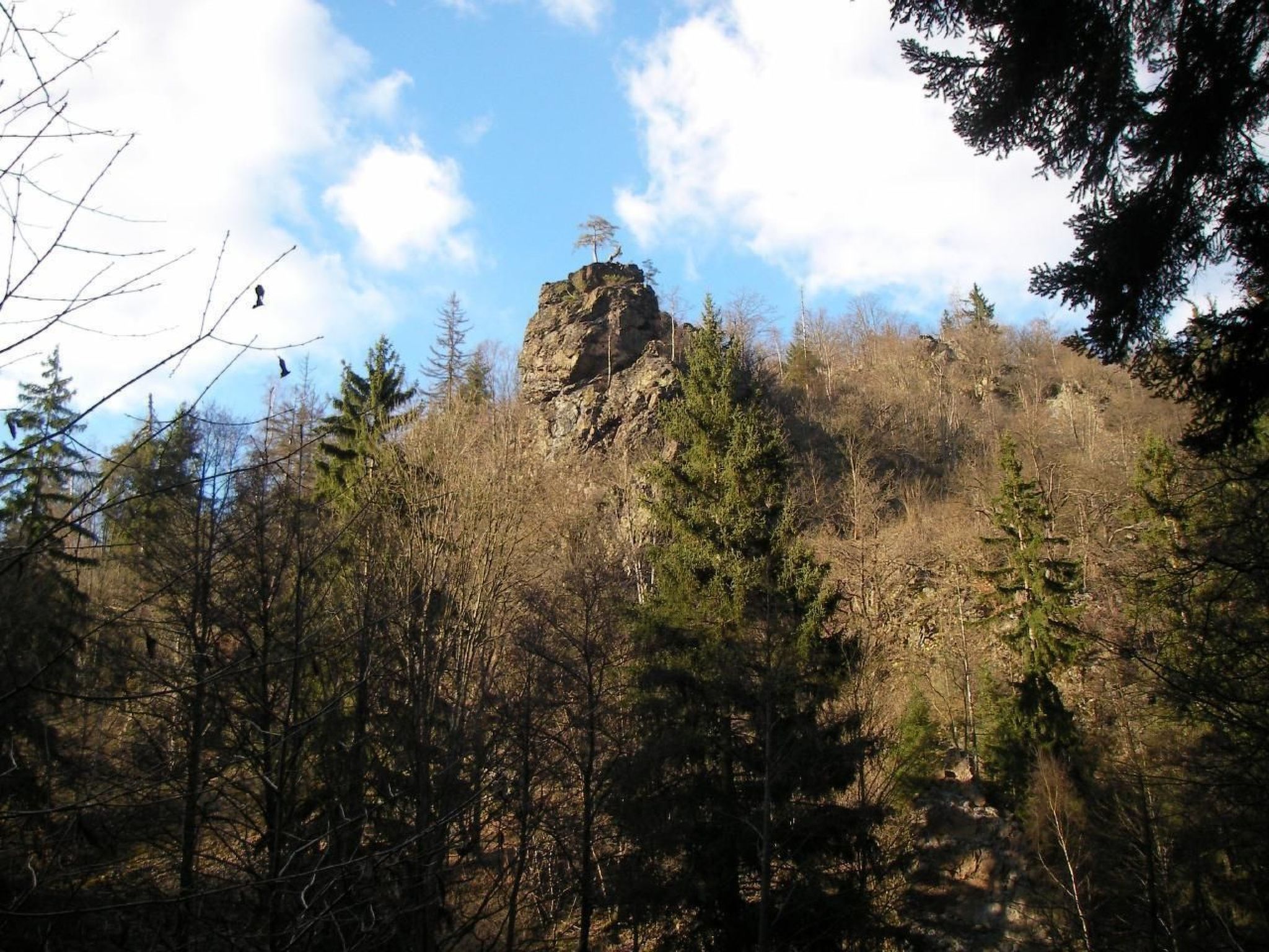 Haus "Hermann"-Drinnen