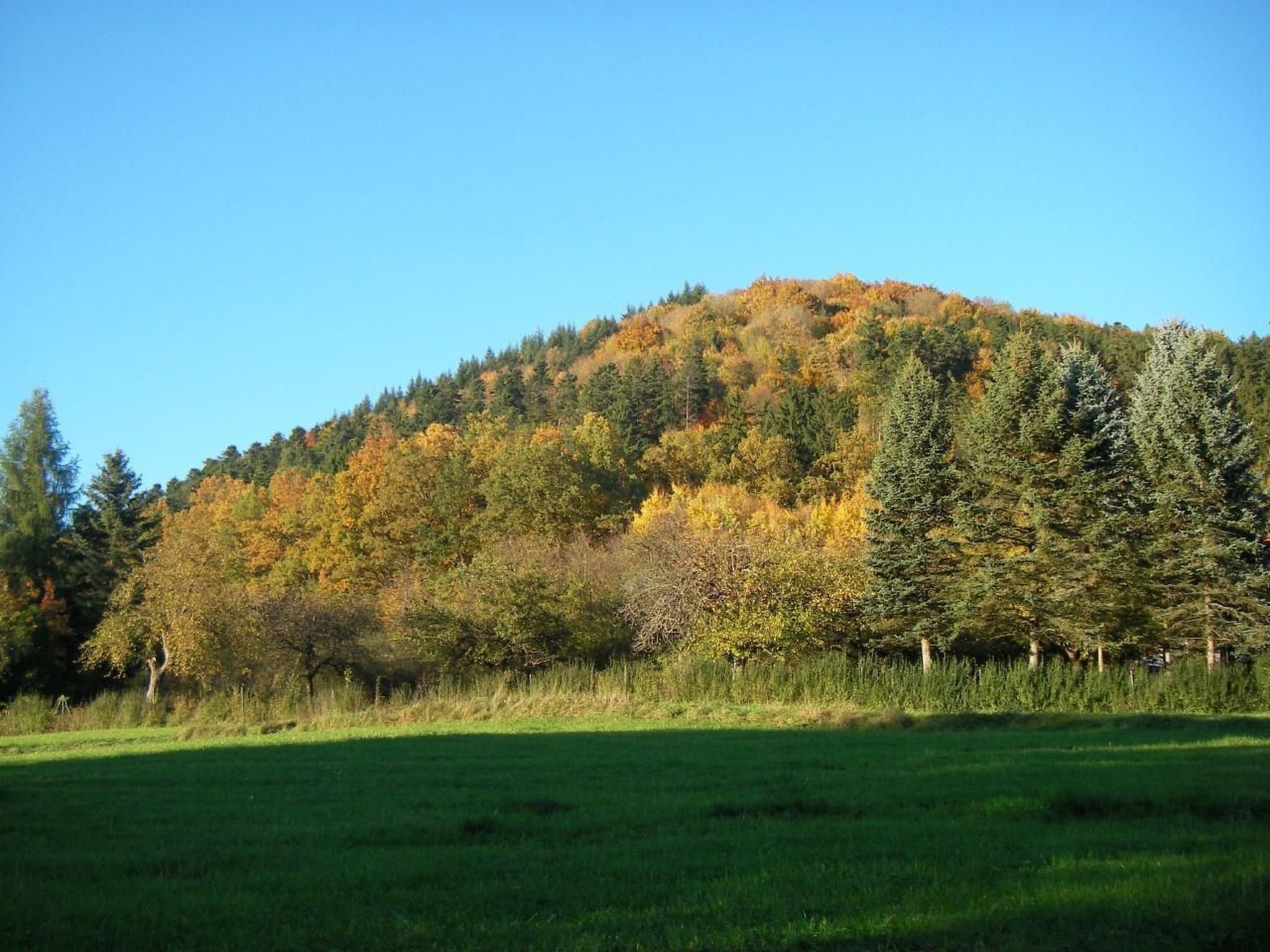 Haus "Hermann"-Drinnen