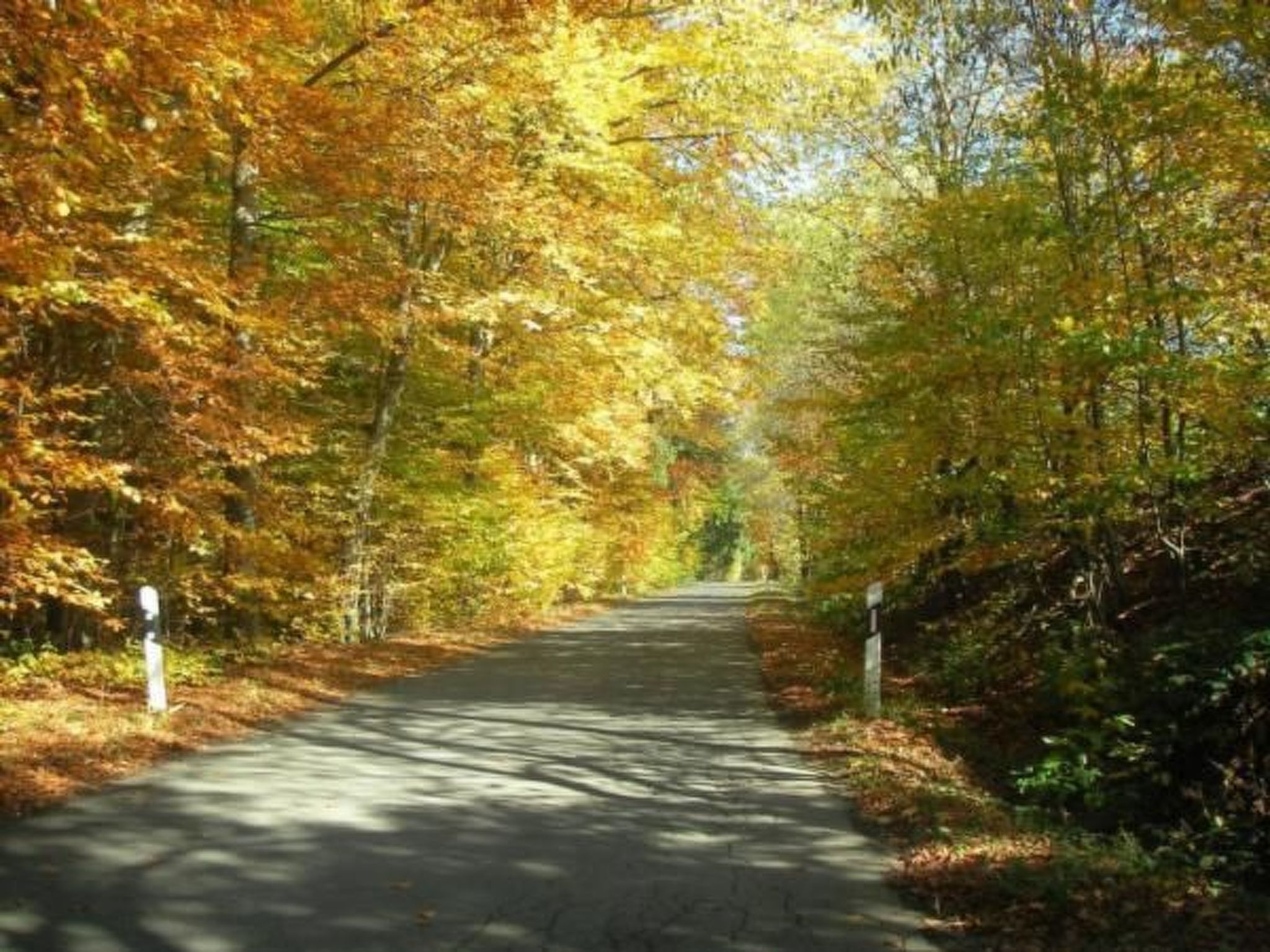Haus" Walter"-Drinnen