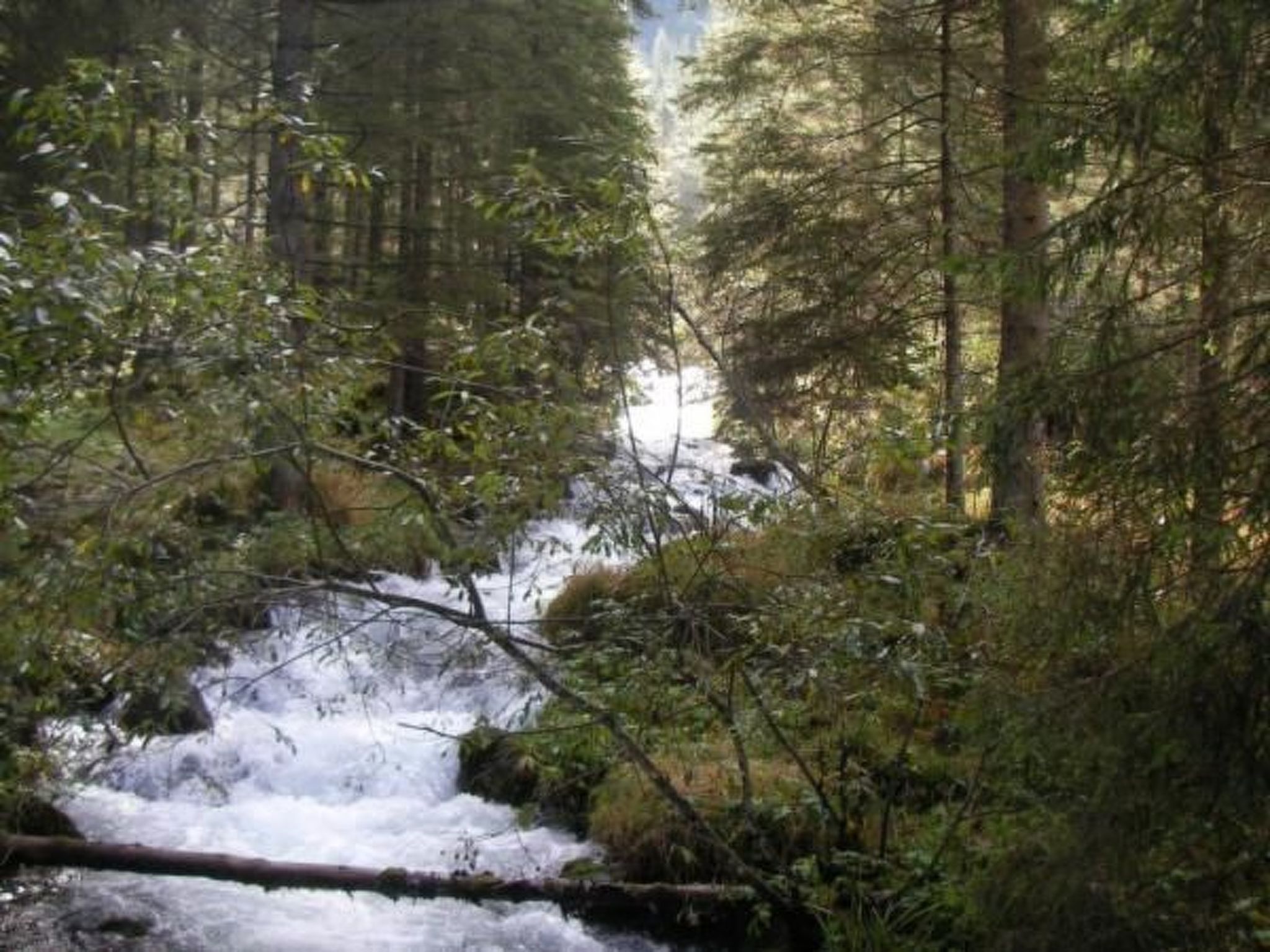 Haus" Walter"-Drinnen