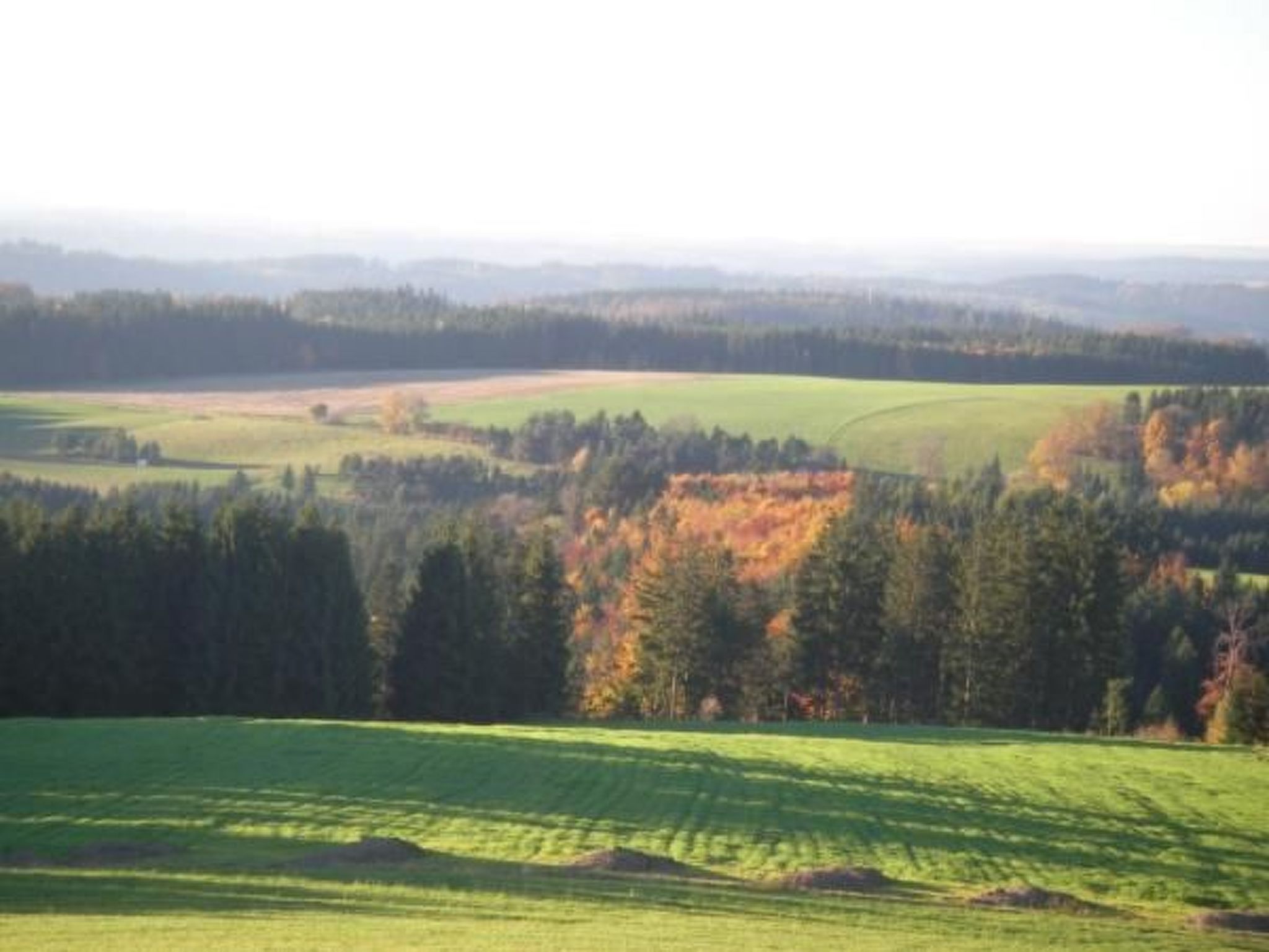 Haus" Walter"-Drinnen