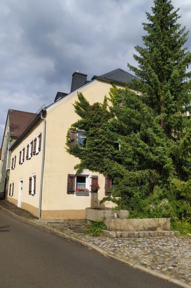 Bürkner