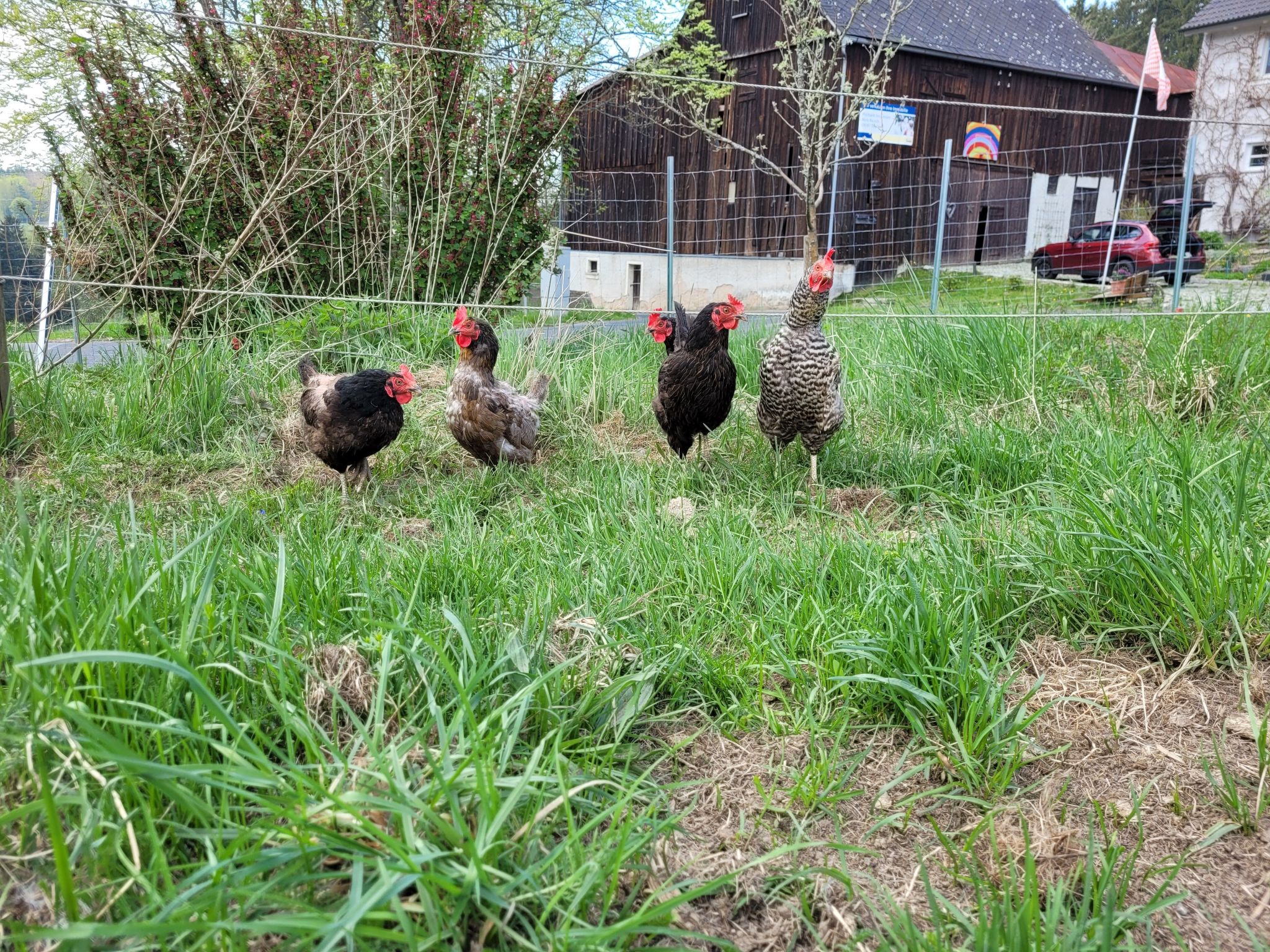 Fichtel-Pod gegen Aufpreis mit Sauna oder Hot Tub-Image-tags.info