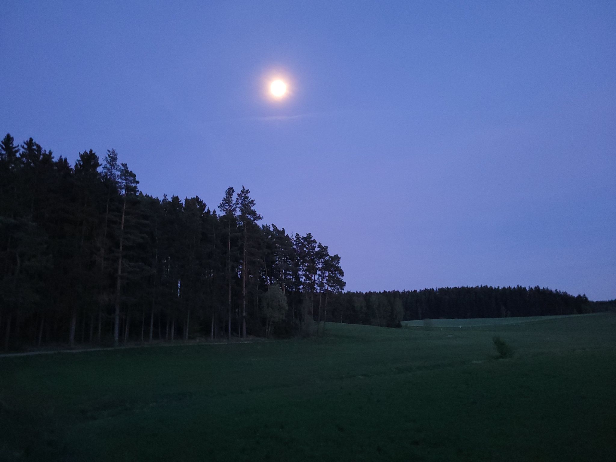 Fichtel-Pod gegen Aufpreis mit Sauna oder Hot Tub-Image-tags.info