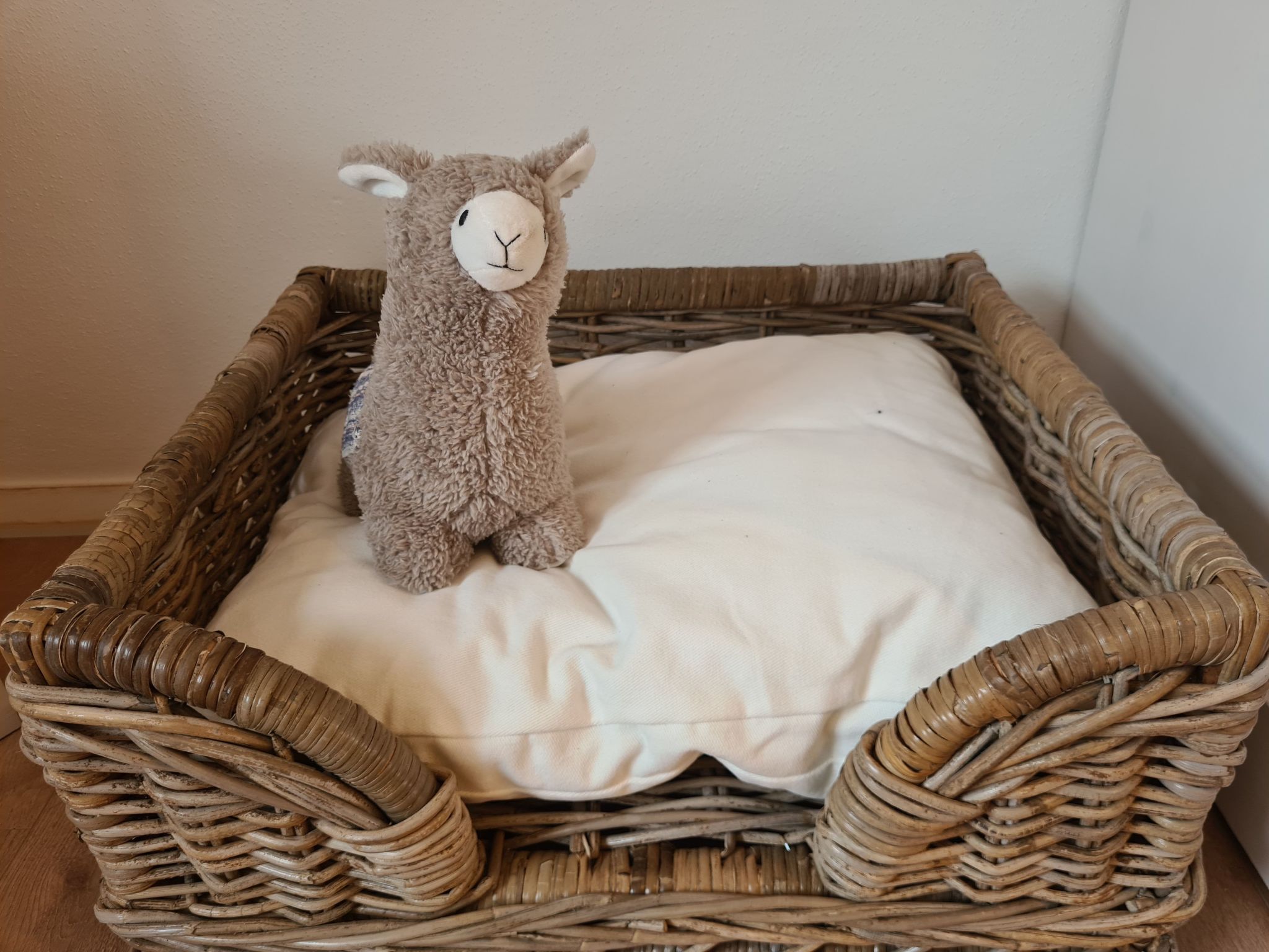 Waldstein Terrassen-Image-tags.info