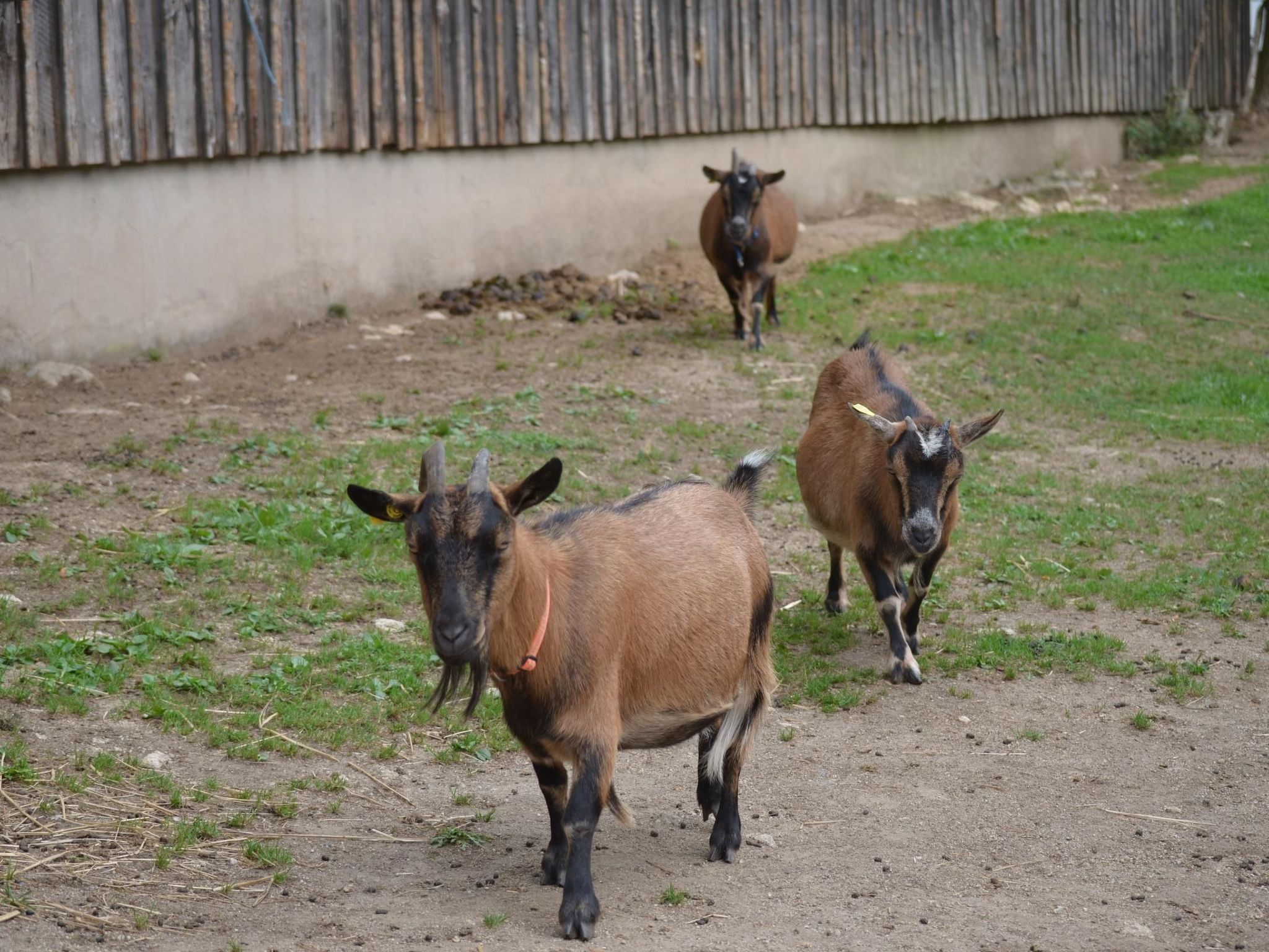 Mit zwei Schlafzimmern und Balkon-Dedans